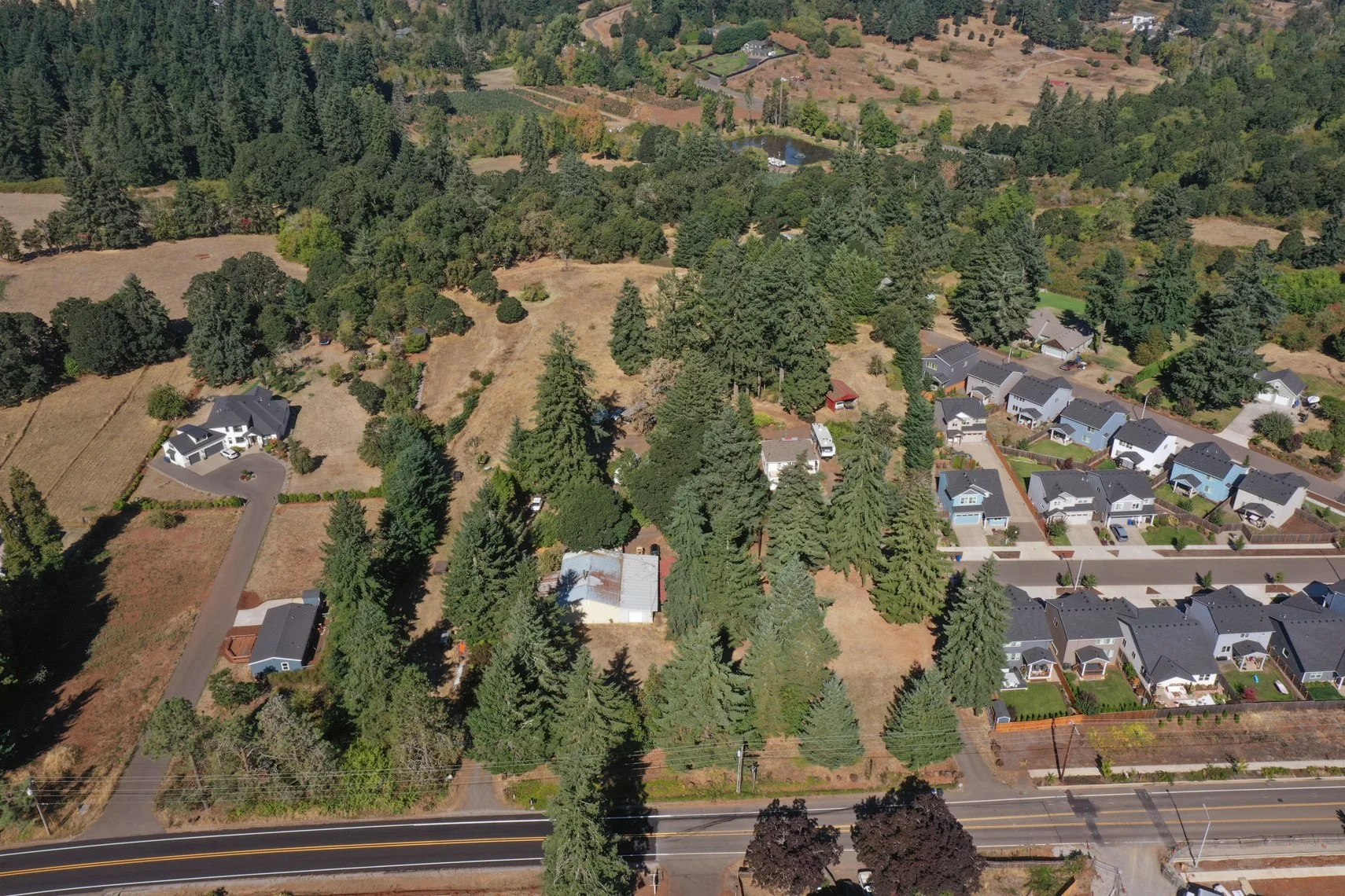 DJI_0392.jpg