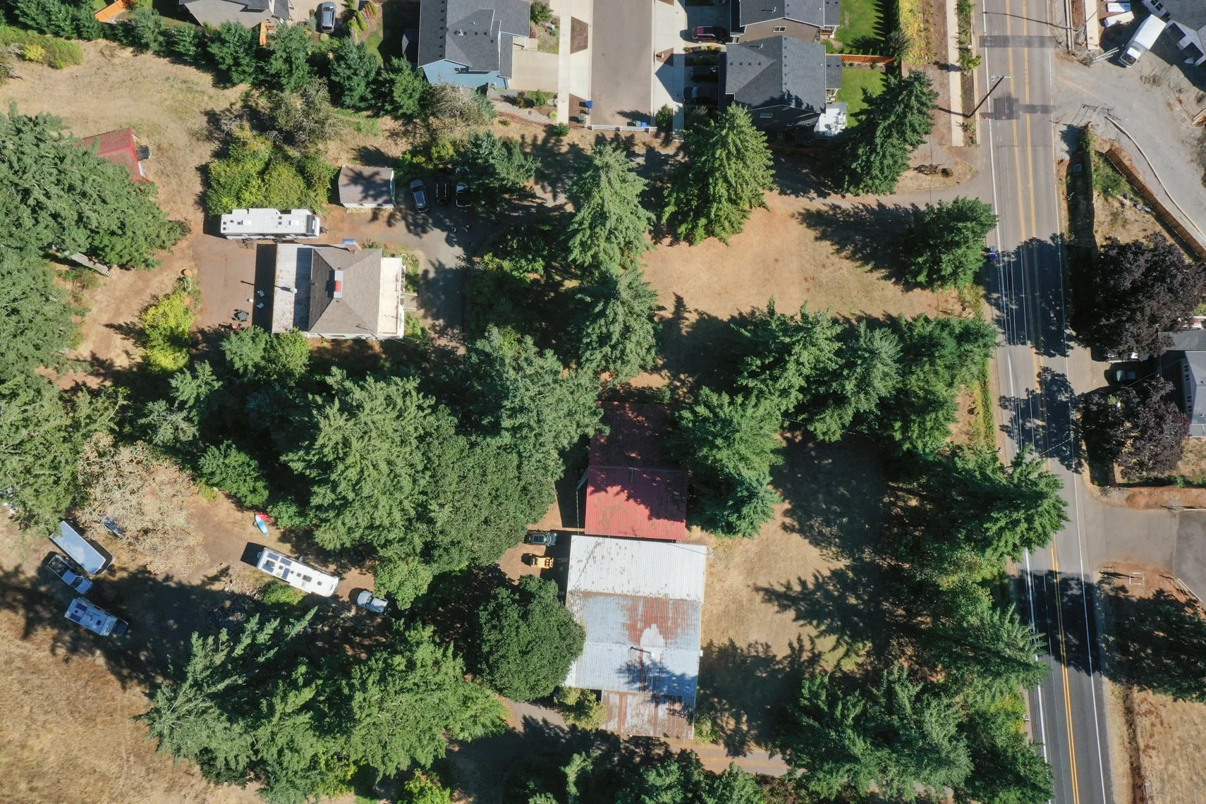 Skyline Meadow Homestead.jpg
