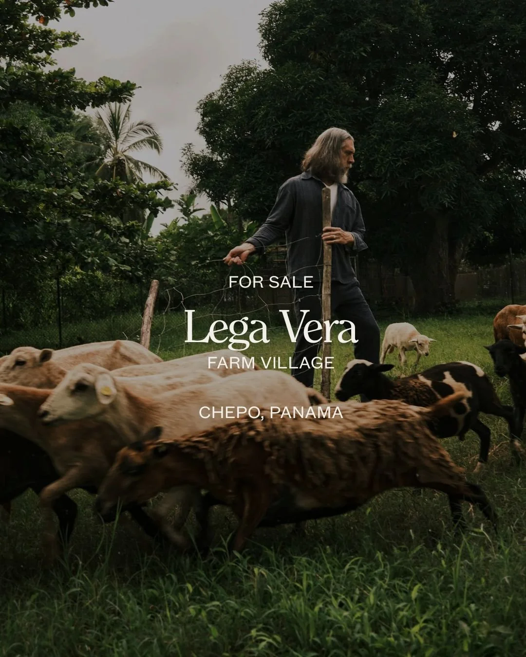 The latest Latitude newsletter is live. 🌿

Inside: Lega Vera, a 741-acre Spanish-style hamlet taking root in Panama; Skyline Meadow&rsquo;s next chapter in Oregon; and a conversation with Amelia Baxter of @WholeTrees on how forests can shape the fut