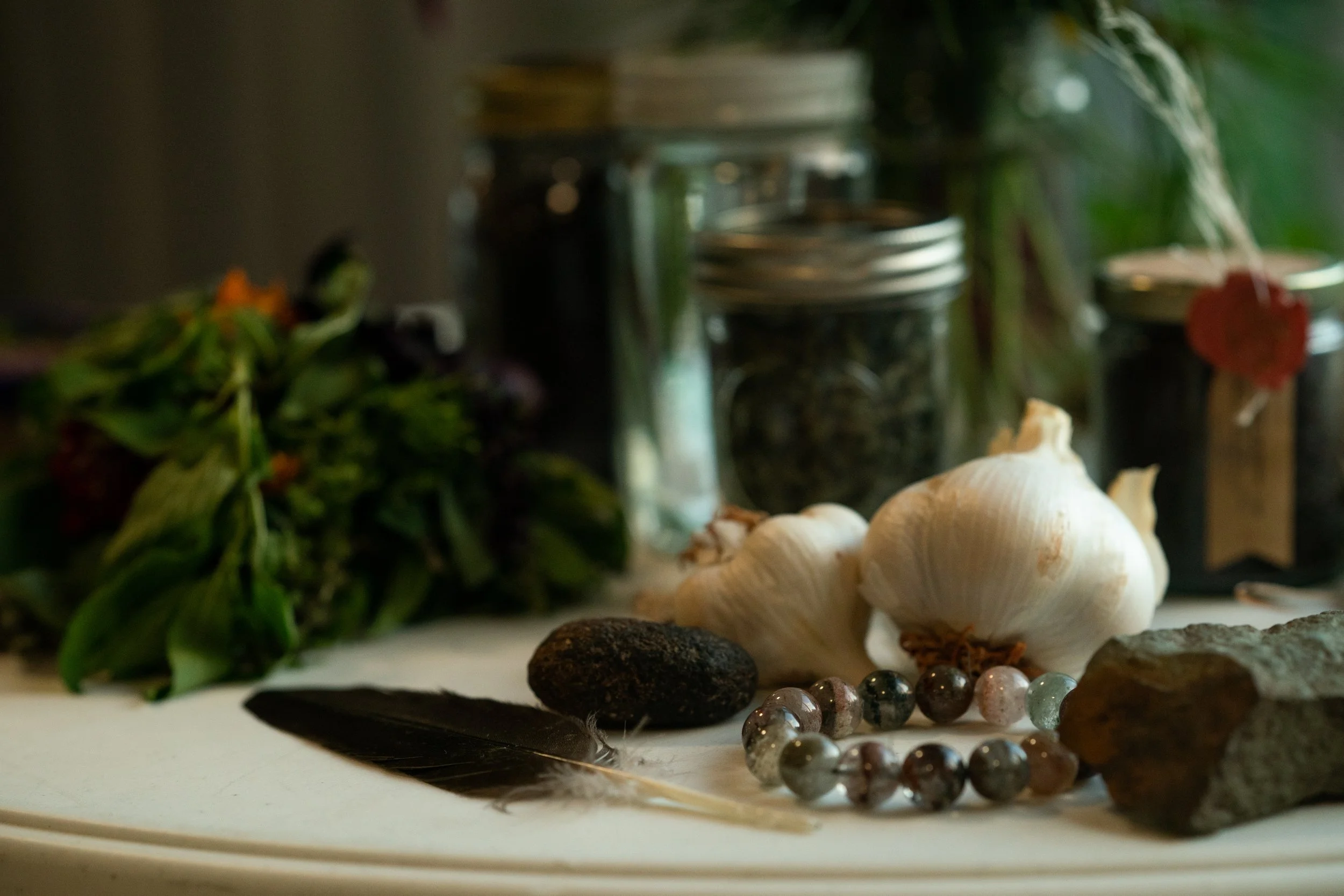 Nature Table at the 2023 Regenerative Real Estate Gathering