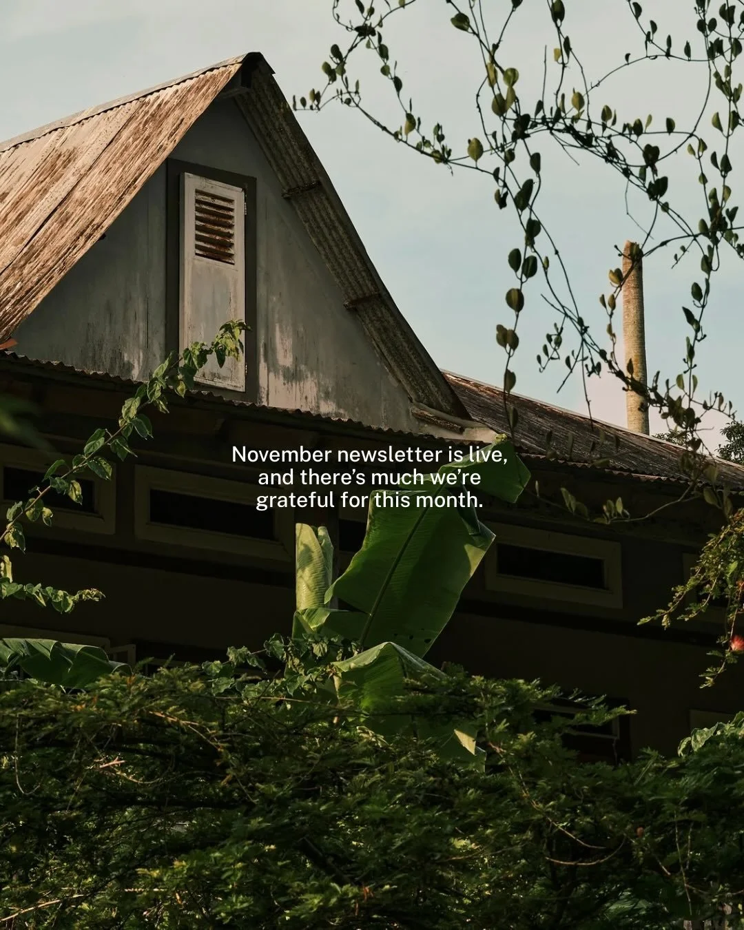 Our November newsletter is live, and we have a lot to be grateful for this month. 🍂 

Inside: an important company update, @legaverafarmvillage highlight, and seasonal reflections inspired by holiday rituals that help ground meaningful traditions on