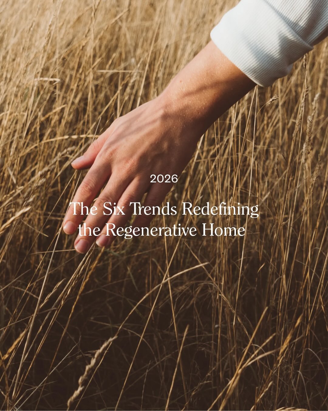 With each new year comes another round of home &ldquo;trends,&rdquo; but our 2026 Trends article looks past style forecasts to the real changes taking shape.

We&rsquo;re seeing people choose healthier materials, simpler technologies, more regenerati