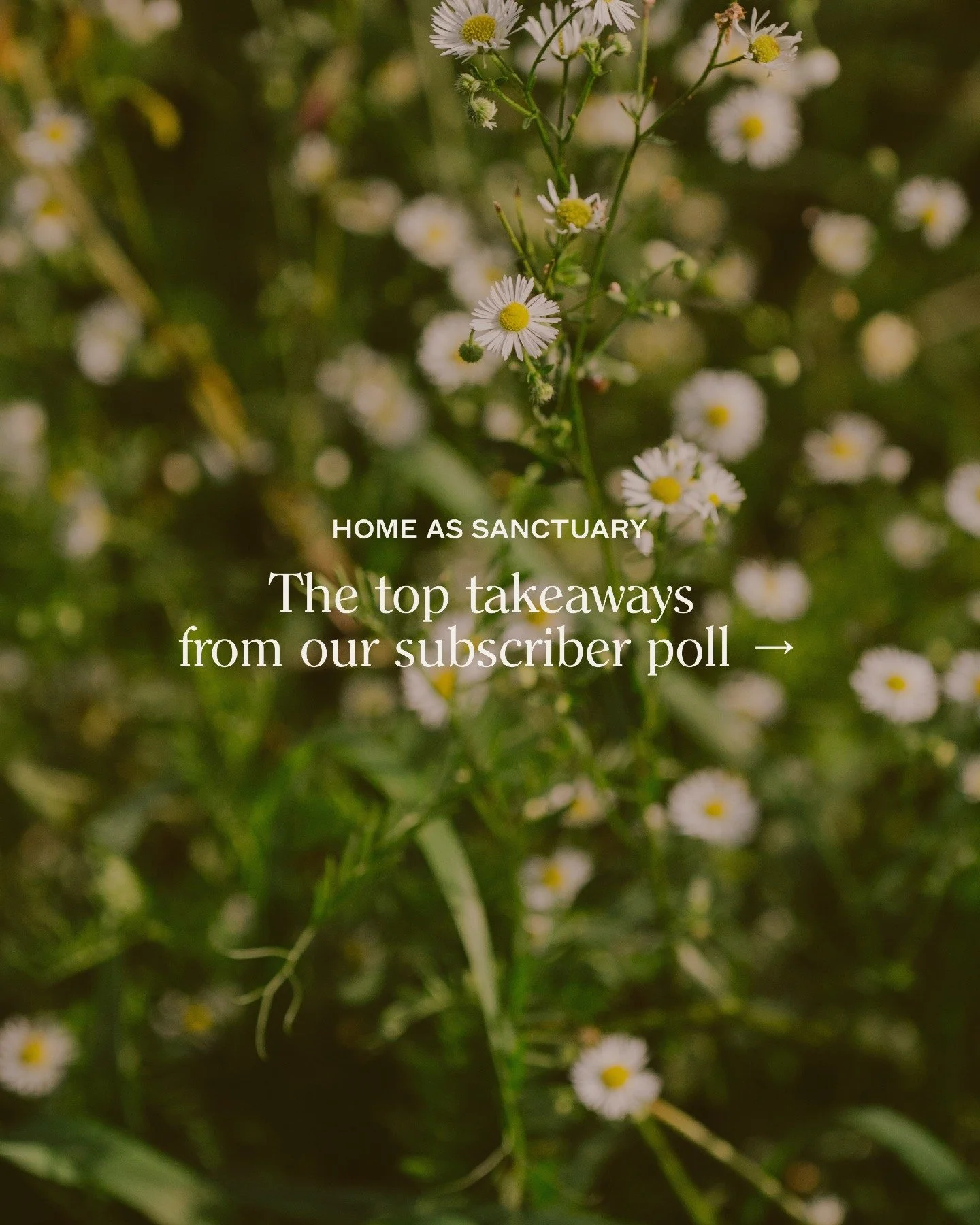 A sacred corner is calling.
And so is a vegetable garden.

We polled those who downloaded our Home as Sanctuary guide, asking which of the Five Roots resonates most &mdash; and where they want to begin the regenerative home journey.

When it came to 