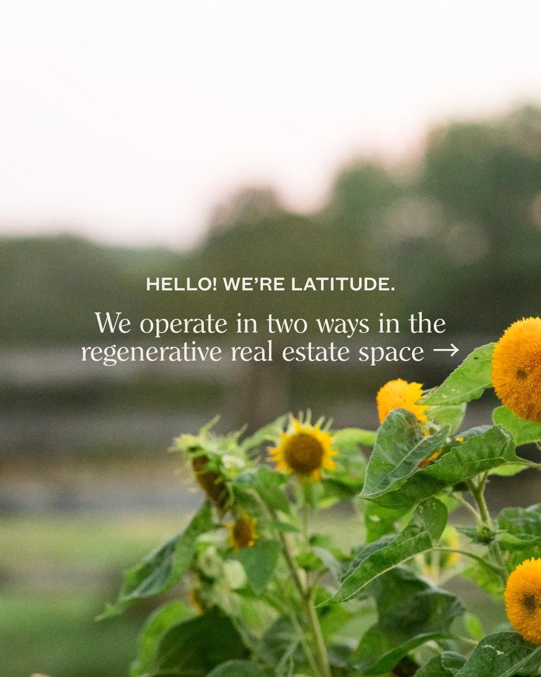 With the start of a new year, and a lot of new interest, it felt like the right time to say hello again.

Latitude Regenerative Real Estate is the world&rsquo;s first regenerative-focused real estate brokerage, aligning values-driven buyers and selle