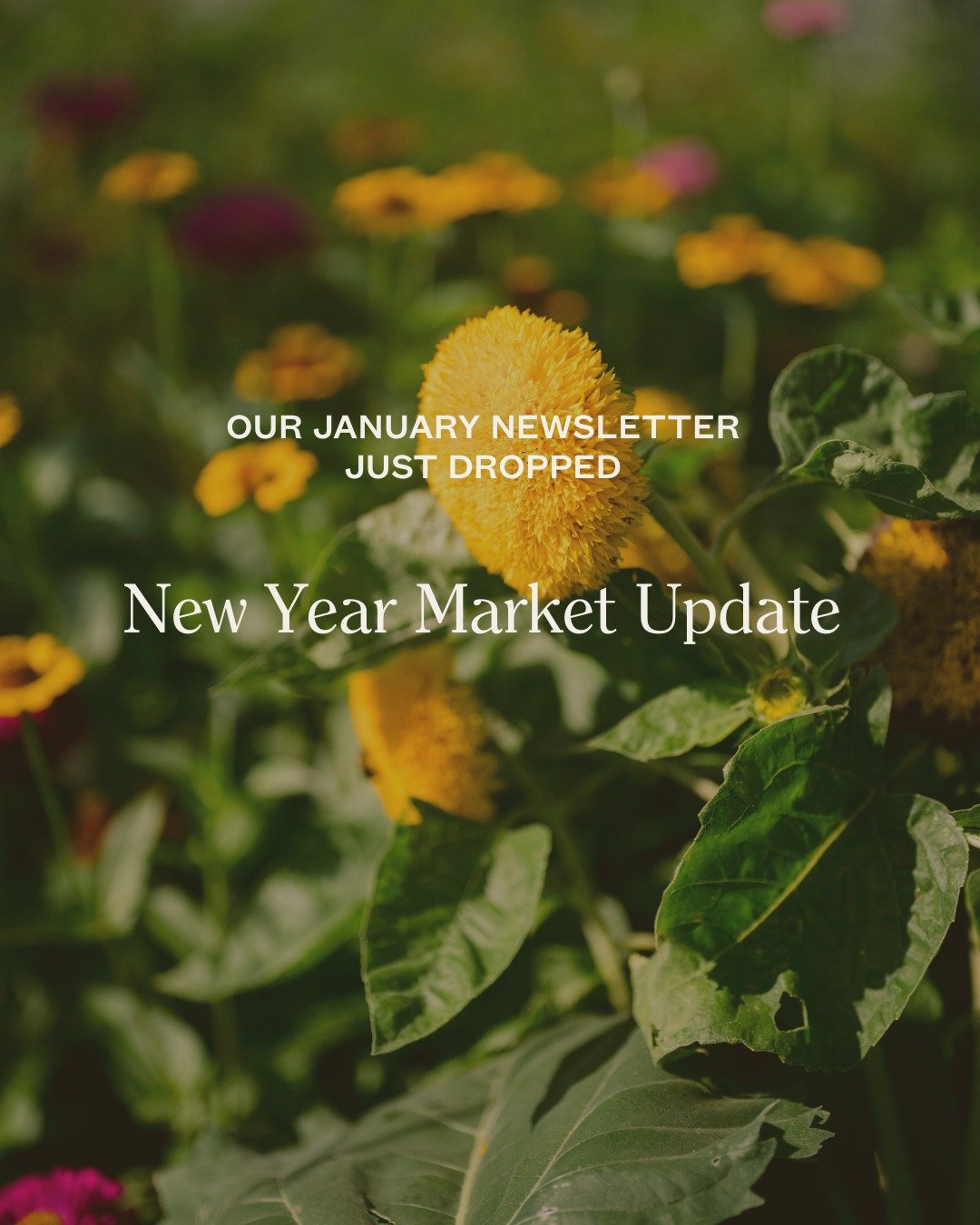 The January edition of the Latitude newsletter is now live. 🚀

This month, we&rsquo;re sharing a quick market update to start 2026, along with inspiring properties now available and new stories exploring what it means to live, and build, in relation