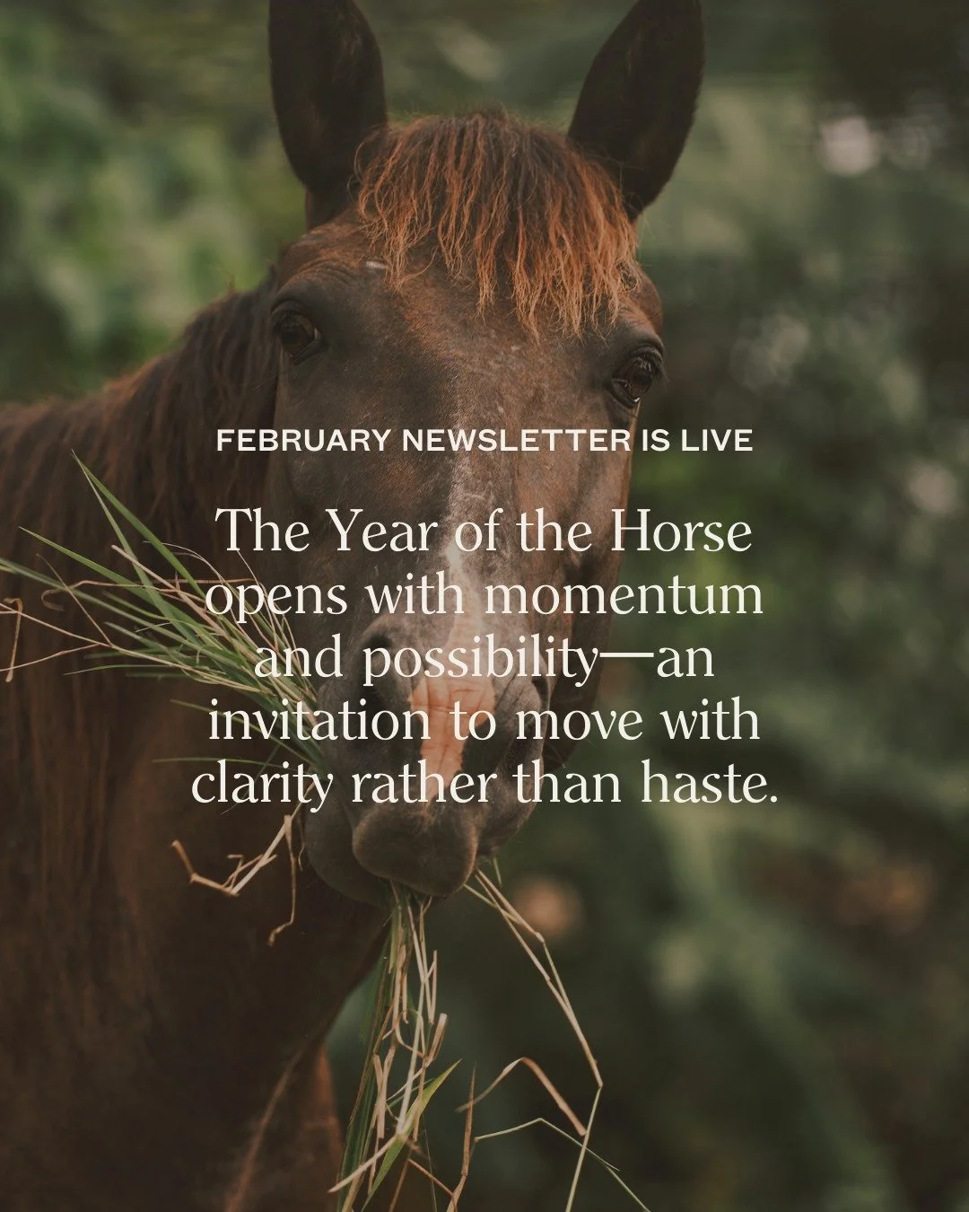 For the dreamers who build, the February edition of the Latitude newsletter is live. 🚀

Inside: land in motion across Oregon and Panama, reflections from our recent visit to Lega Vera as Founder&rsquo;s Circle begins to define its early chapter, and