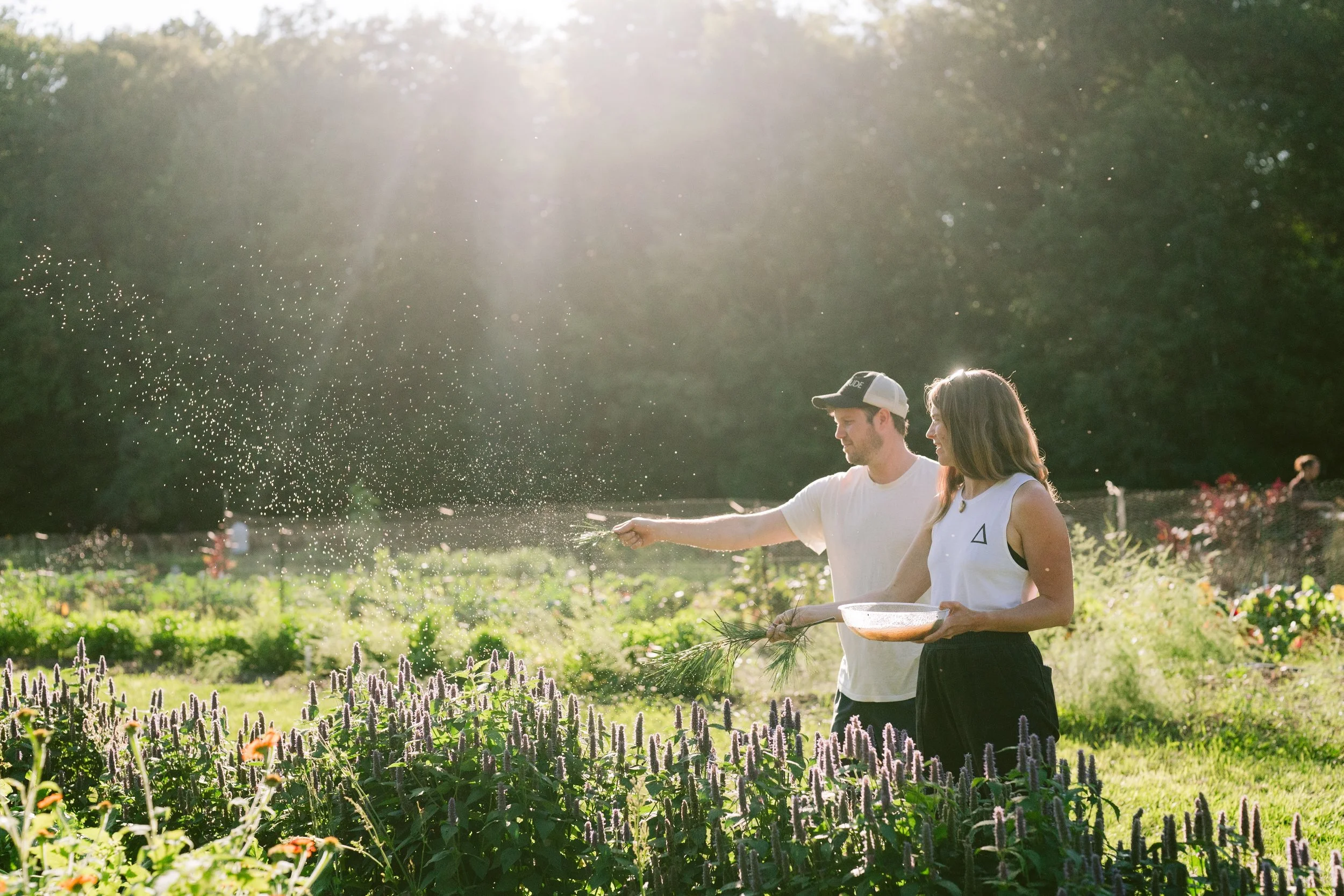 The Origins of Regenerative Real Estate: How Land, Health, and Community Reshaped Our Work
