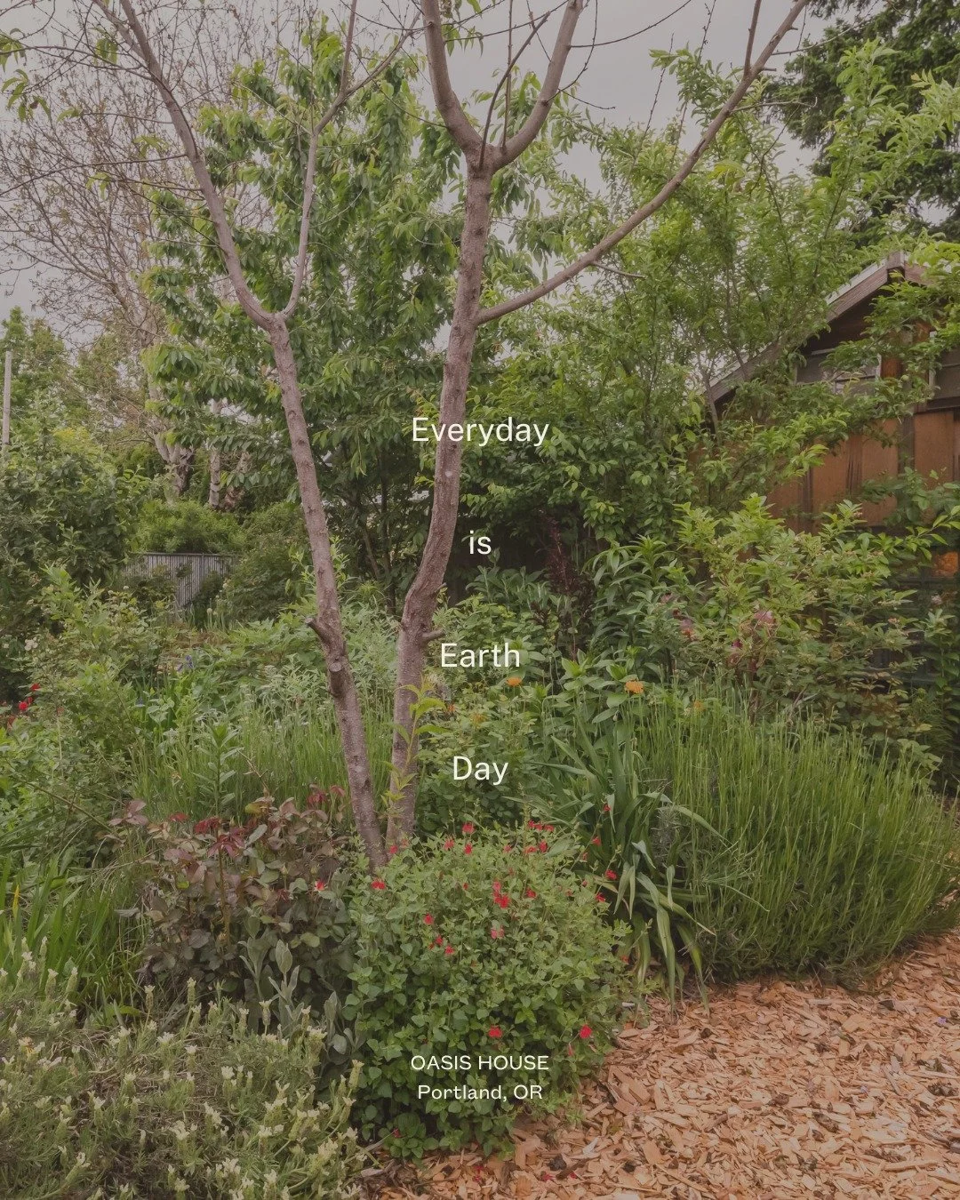 Earth Day, and a quiet reminder: the most meaningful work often begins at home.

In the gardens we tend, the spaces we shape, the land we choose to care for&mdash;small acts that ripple outward.

Our latest newsletter is out today. Subscribe via the 