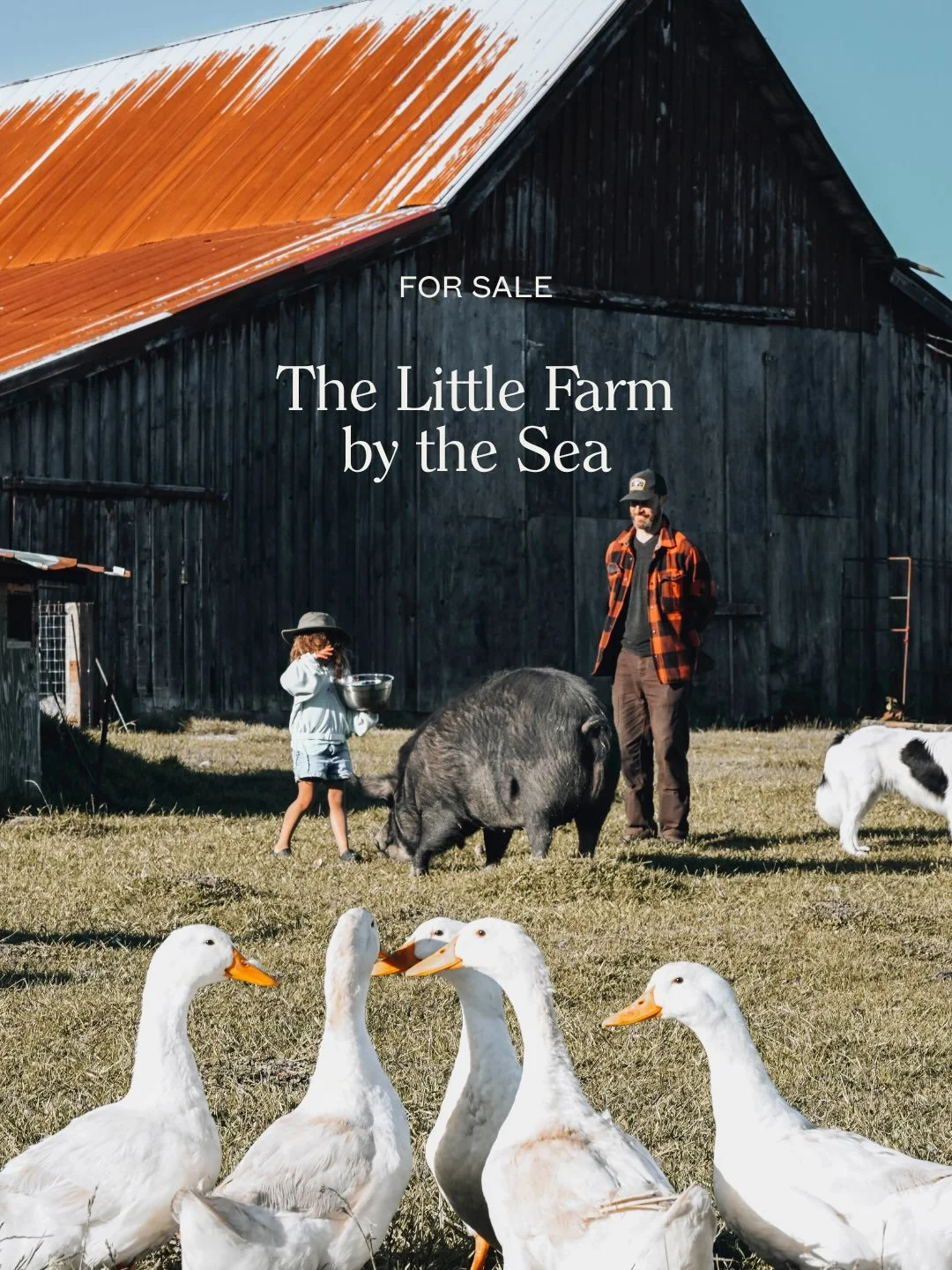 #ForSale: The Little Farm by the Sea | Hoquiam, WA

This isn&rsquo;t just beautiful land. It&rsquo;s a working regenerative farm shaped by more than a decade of intentional stewardship.

With 75 acres of productive pasture, historic farm buildings, e