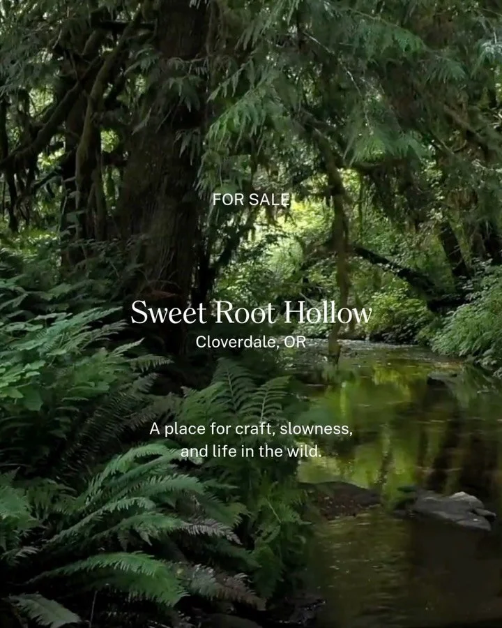 #ForSale: Sweet Root Hollow | Cloverdale, Oregon

Nearly 12 acres of meadow, wildflowers, riparian forest, and year-round water meet the Siuslaw National Forest on the Oregon Coast.

A handcrafted wood home sits at the heart of a landscape shaped by 