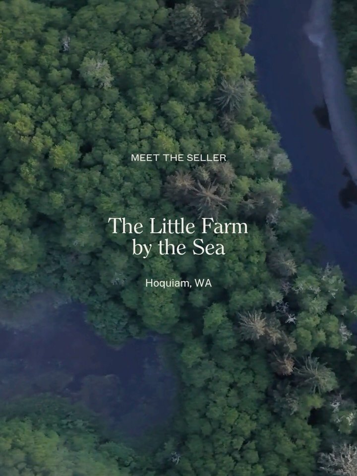 For the past decade, Jordan has moved between two worlds: a career in finance and the daily work of stewarding 117 acres on Washington&rsquo;s coast.

What began as a desire to learn farming firsthand became The Little Farm by the Sea, a working farm