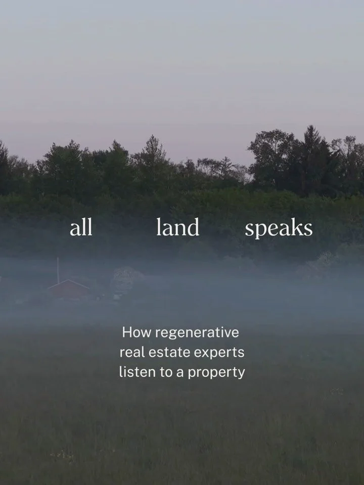 Every property is already telling a story.

Water, soil, vegetation, and topography leave clues. So do the ways people live on and shape the land.

Land literacy is learning to read both: where the ecology wants to lead and where thoughtful human int