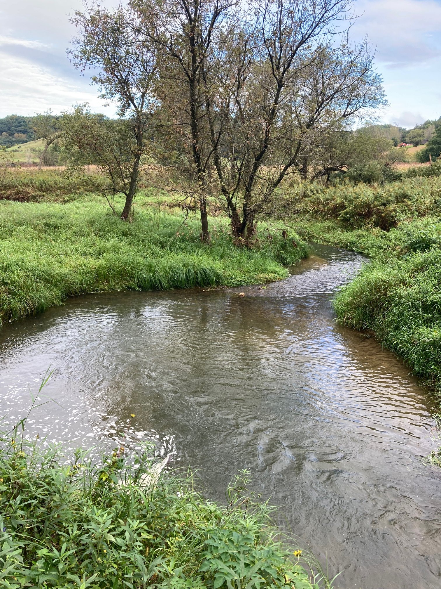 Growing Into Place: Land Stewardship at North Bear Creek