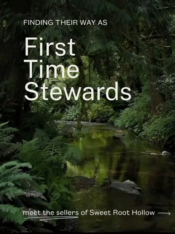 The story of Sweet Root Hollow is a reminder that stewardship can begin with curiosity and the willingness to become a student of place.

When two city families took on nearly 12 acres on the Oregon Coast, they had very little experience managing a f