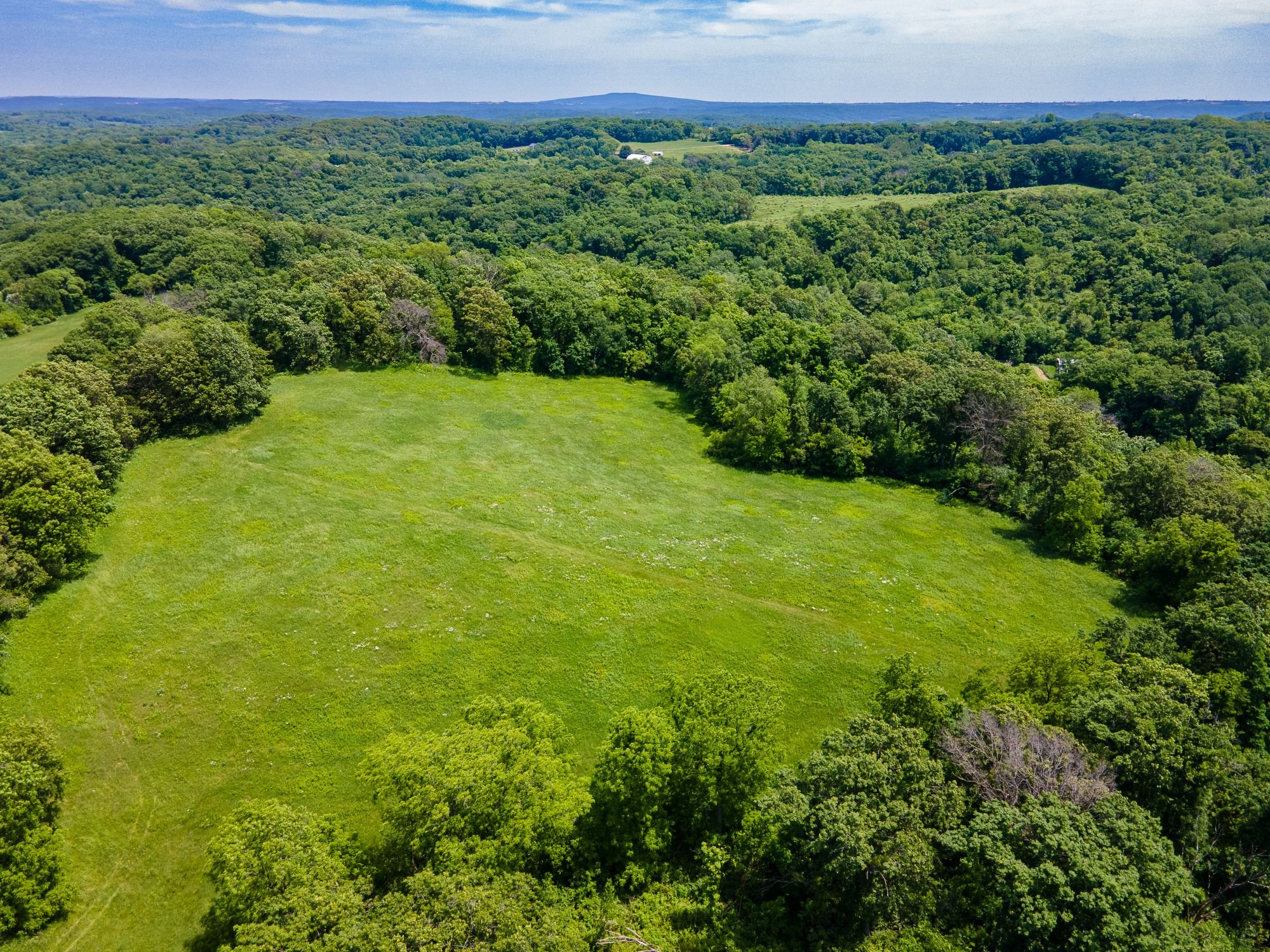 A green pasture surrounded by a lush forest in Iowa County, Wisconsin.