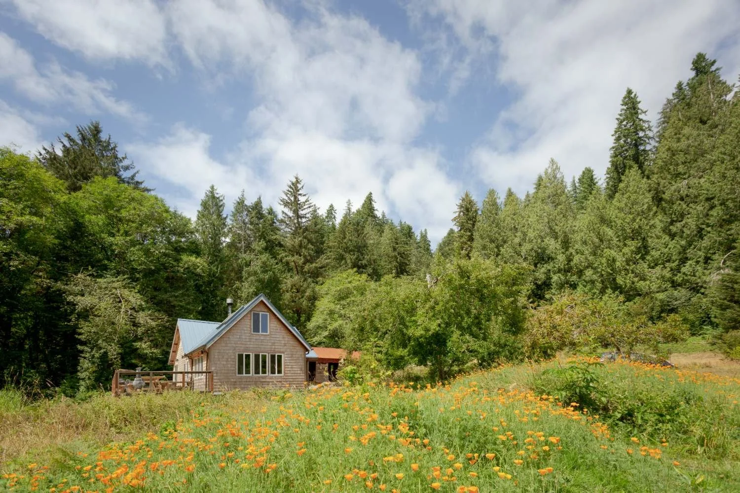 lush farmstead and flower field with rustic wooden farmhouse in Cloverdale, Oregon