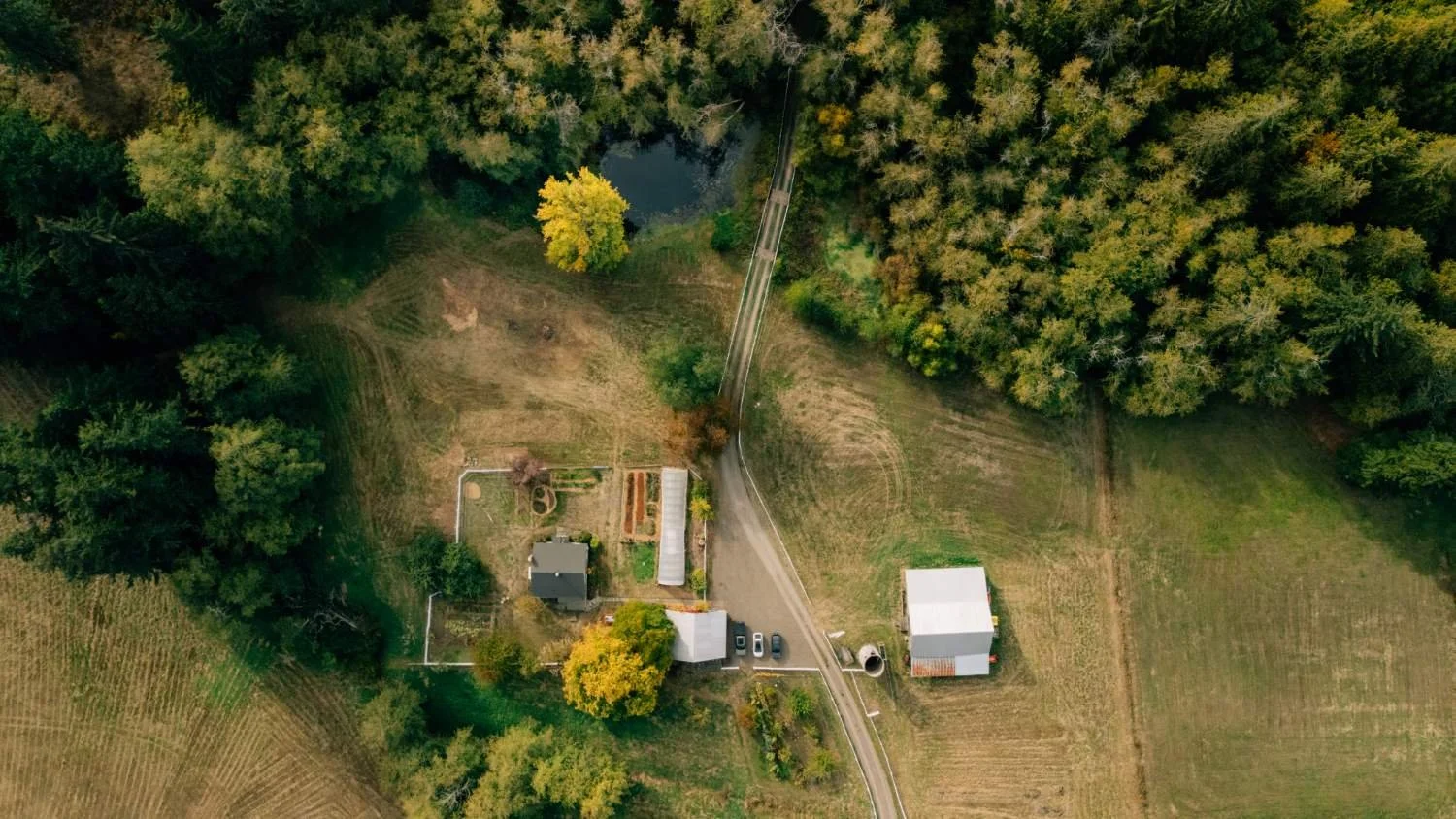 aerial view of historic farm surrounded by lush green forest
