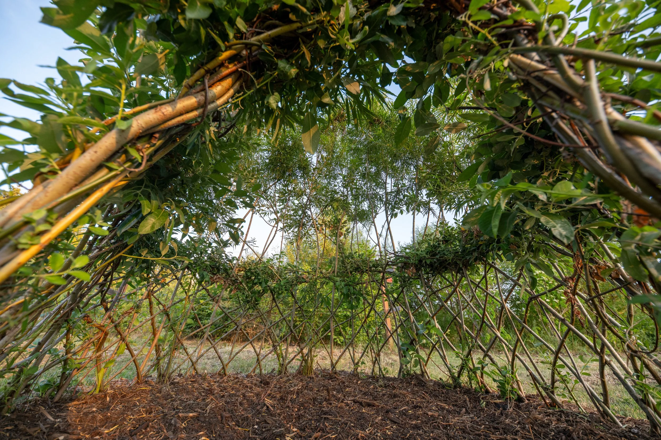 be-easy-farm-living-willow-dome-sequim-wa.jpg