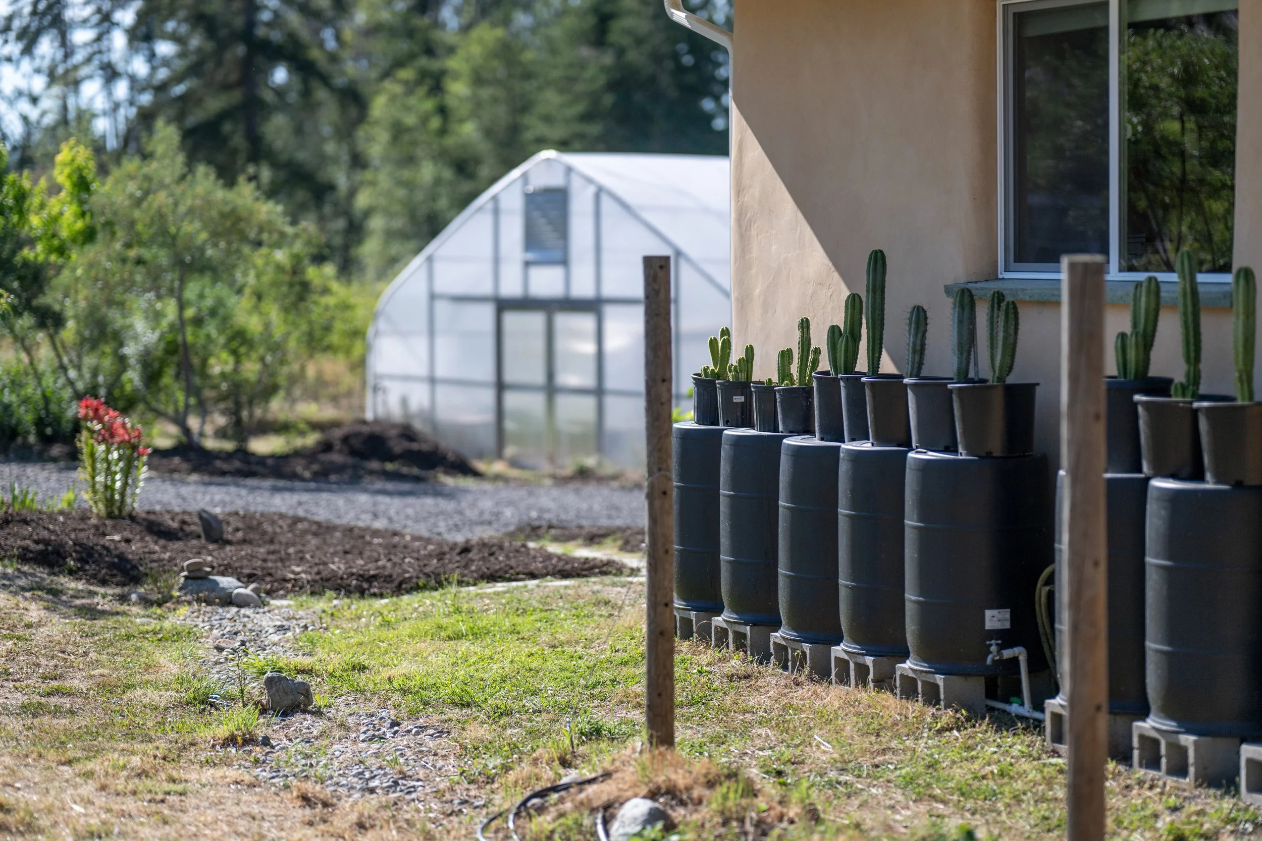 be-easy-farm-rainwater-catchment-high-tunnel-sequim-wa.jpg