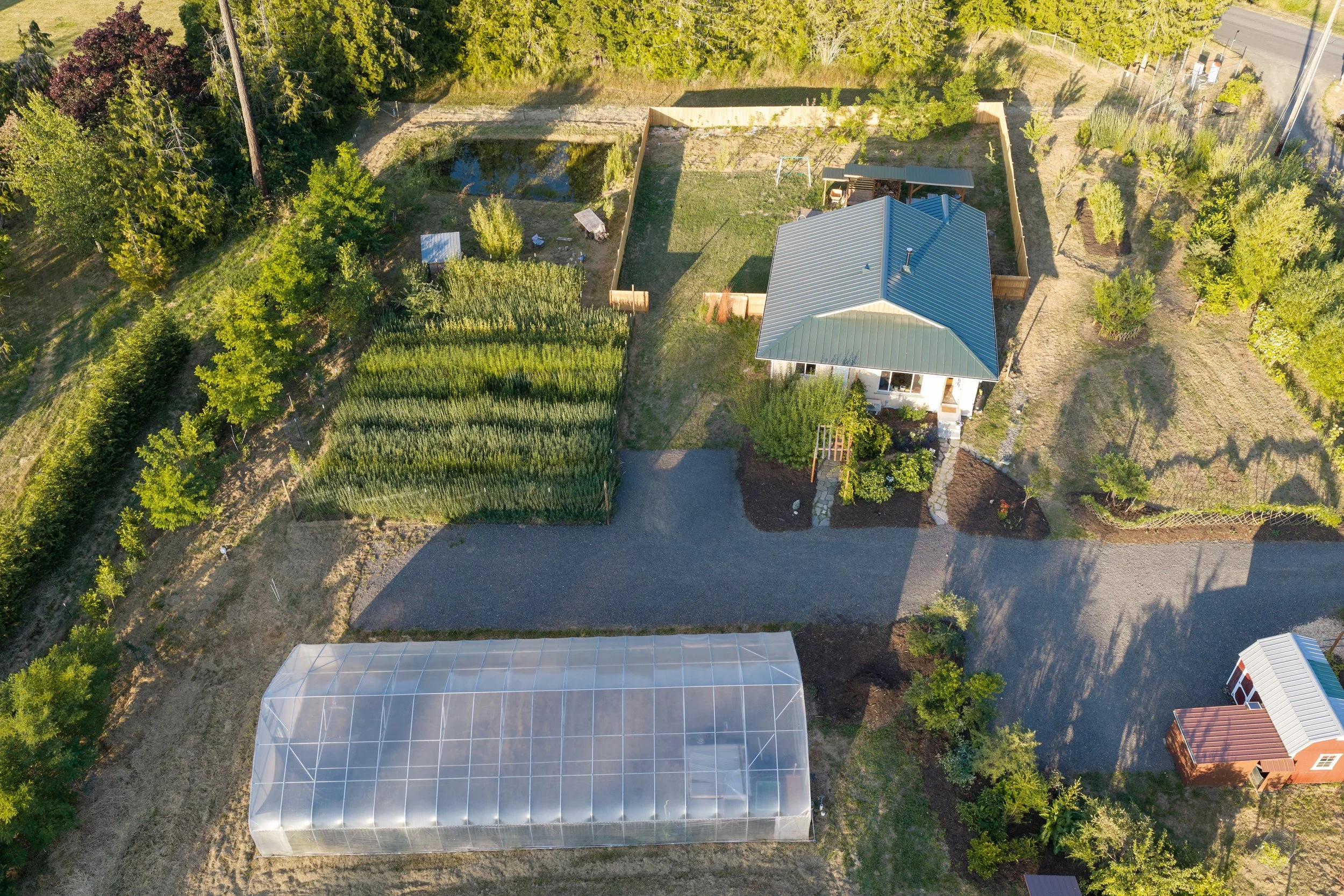 be-easy-farm-aerial-homestead-high-tunnel-sequim-wa.jpg