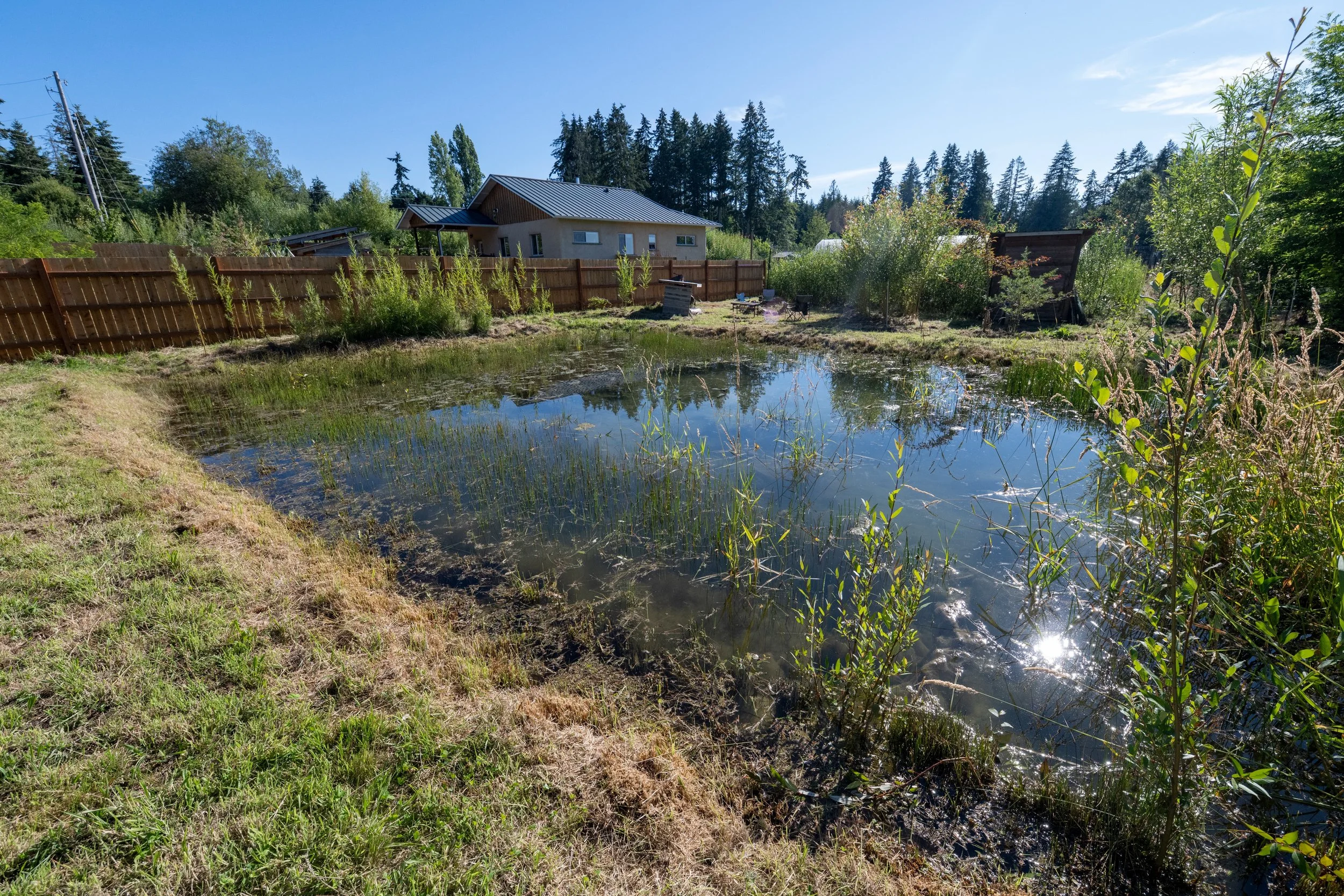 be-easy-farm-wildlife-pond-homestead-view-sequim-wa.jpg