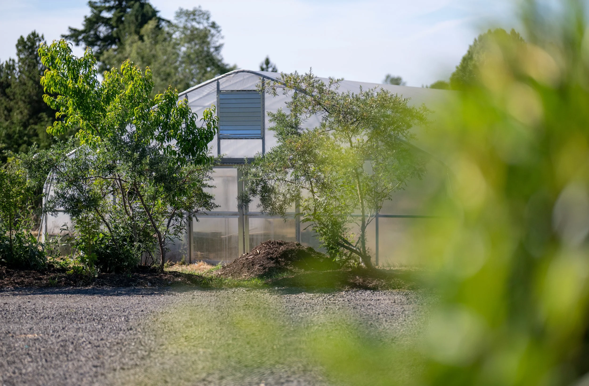 be-easy-farm-production-high-tunnel-sequim-wa.jpg