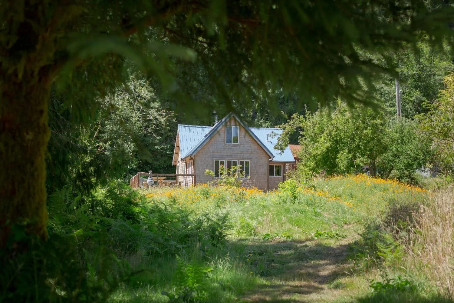 sweet-root-hollow-oregon-01.jpeg