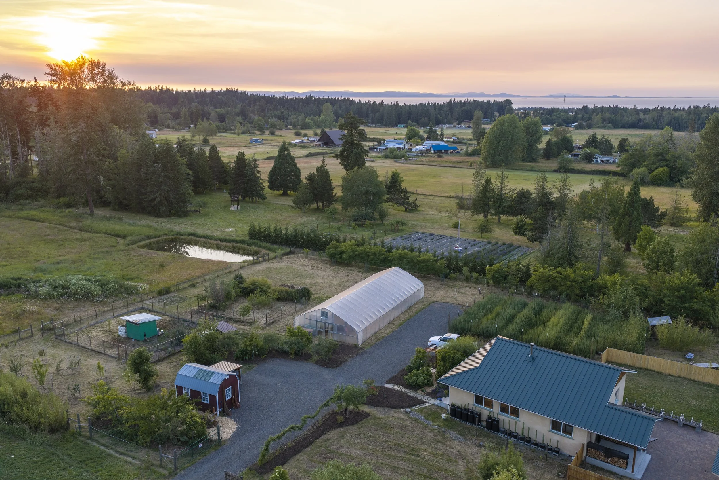 aerial-be-easy-farm-straw-bale-home-regenerative-homestead-sequim-wa-aerial-sunset.jpg