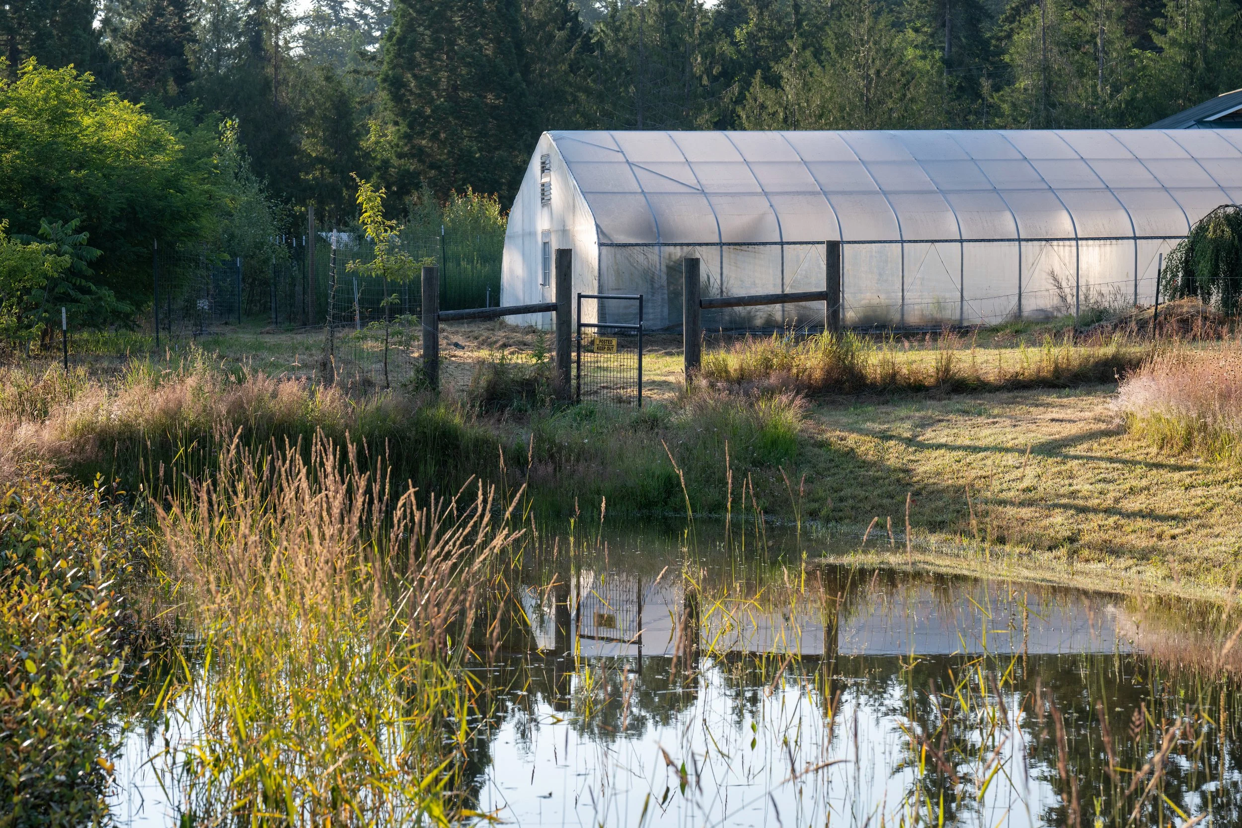 be-easy-farm-high-tunnel-pond-sequim-wa.jpg
