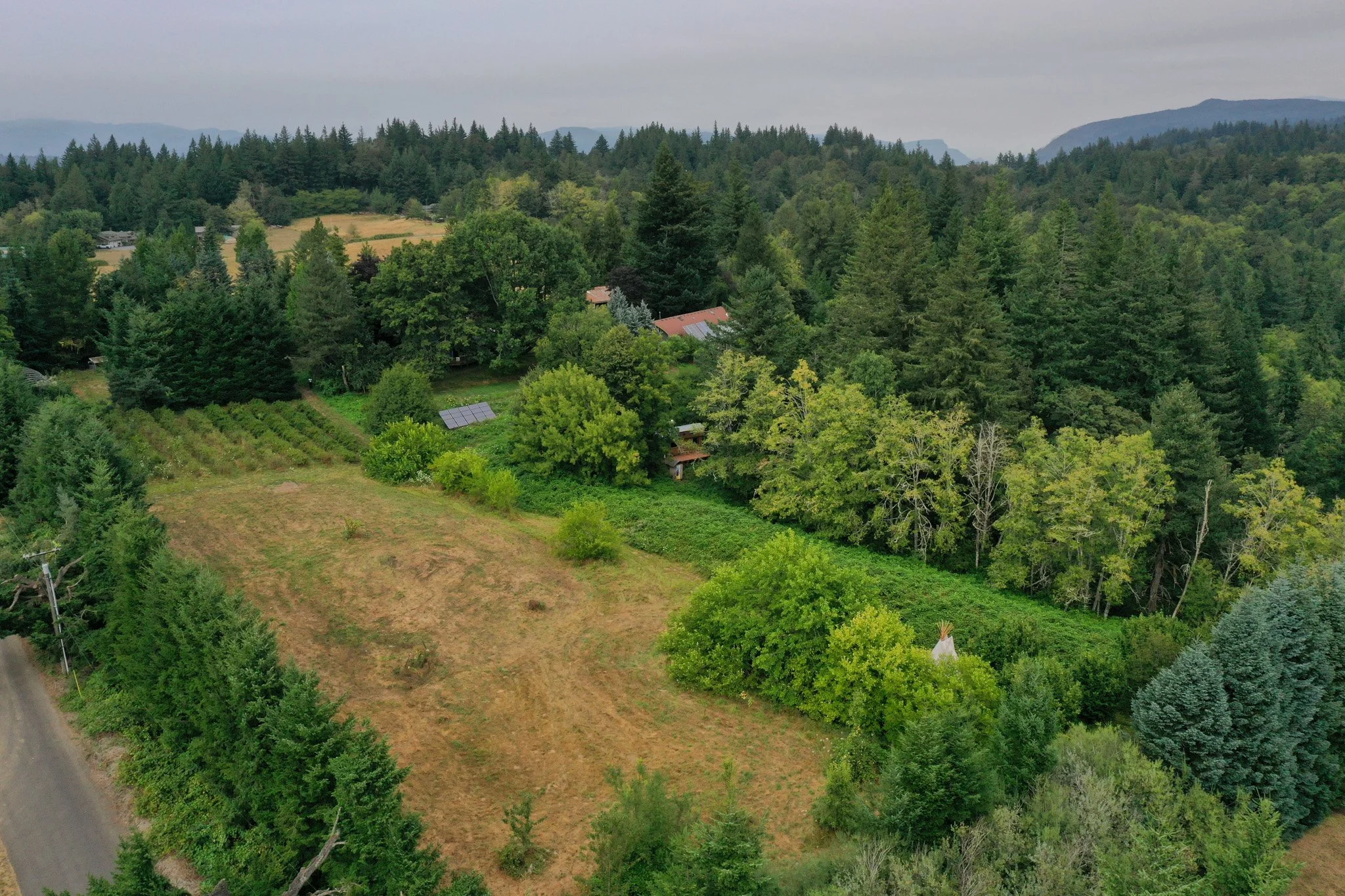 An aerial view of a lush farm with a curated field and blueberry plantations.