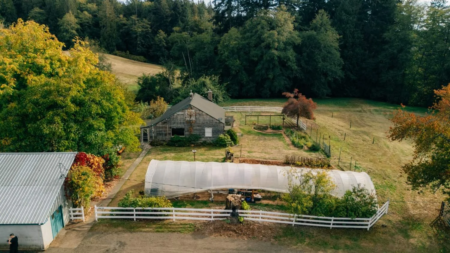 processed_PoulsboFarm-162.jpeg
