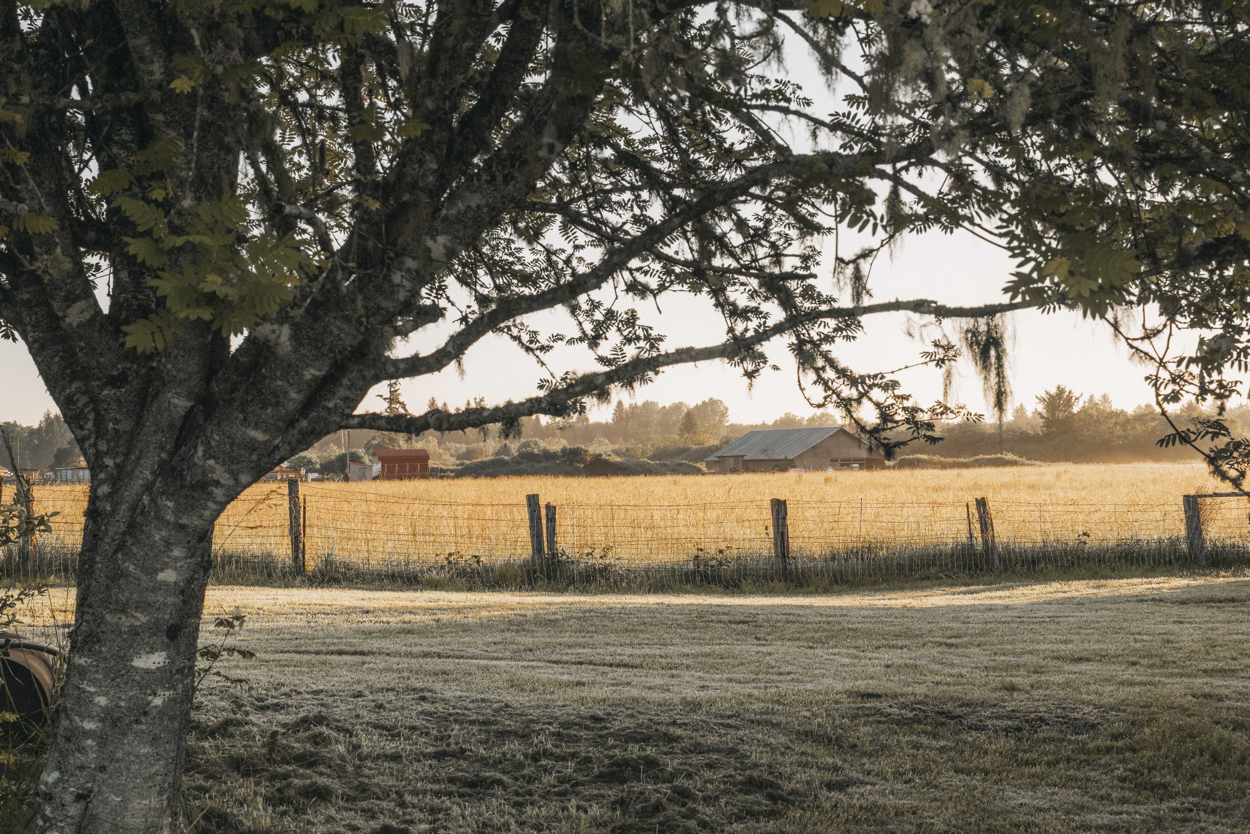 For Sale: The Little Farm By The Sea