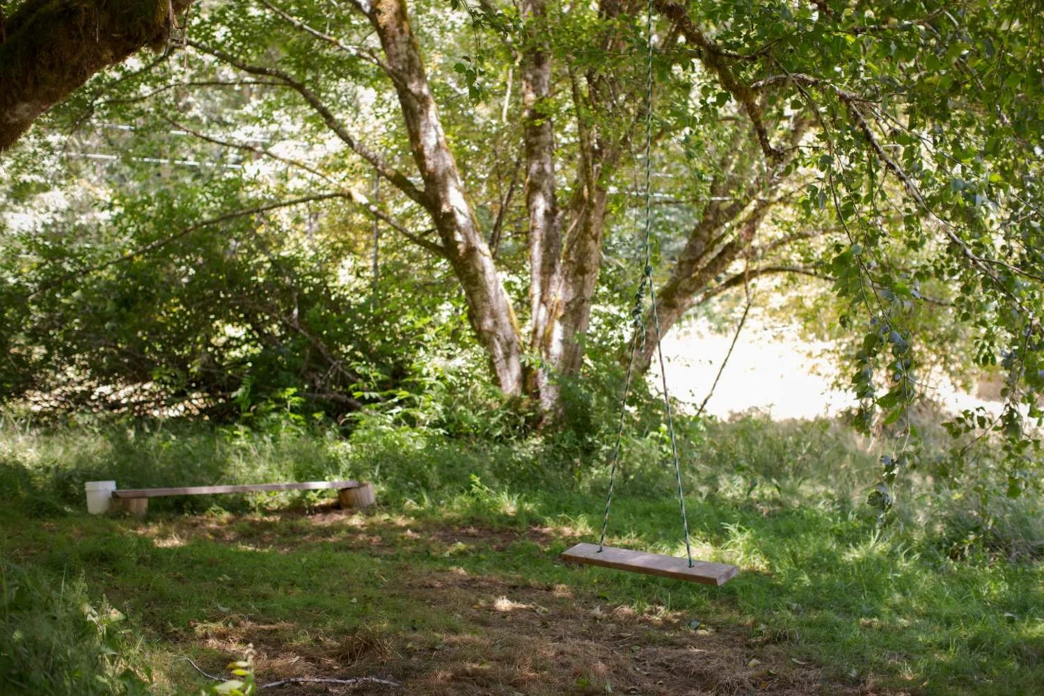 wooden swing hanging in shaded forested area behind rustic farmhouse
