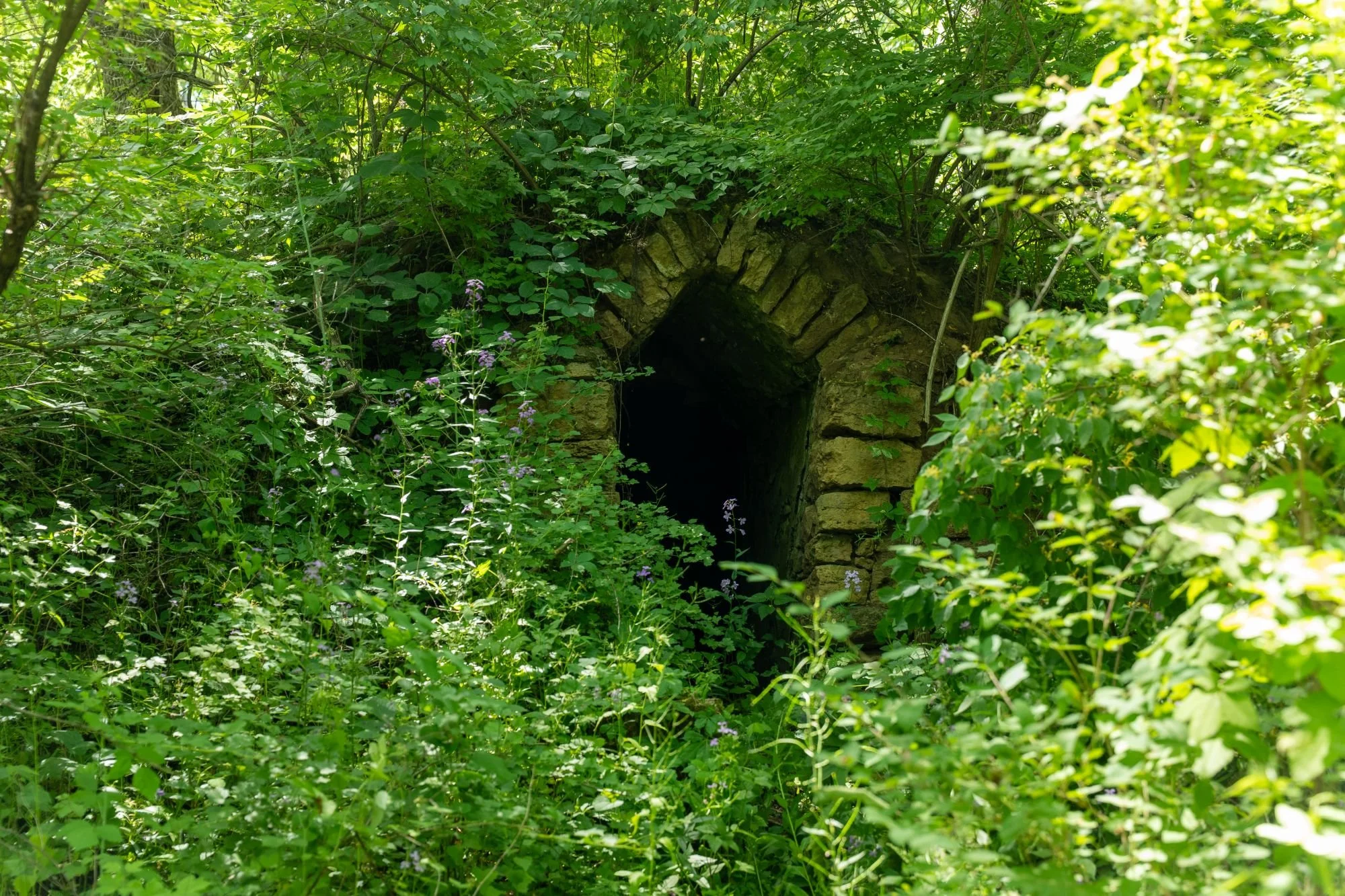 A stone entrance into the hillside on Three Sisters Farm