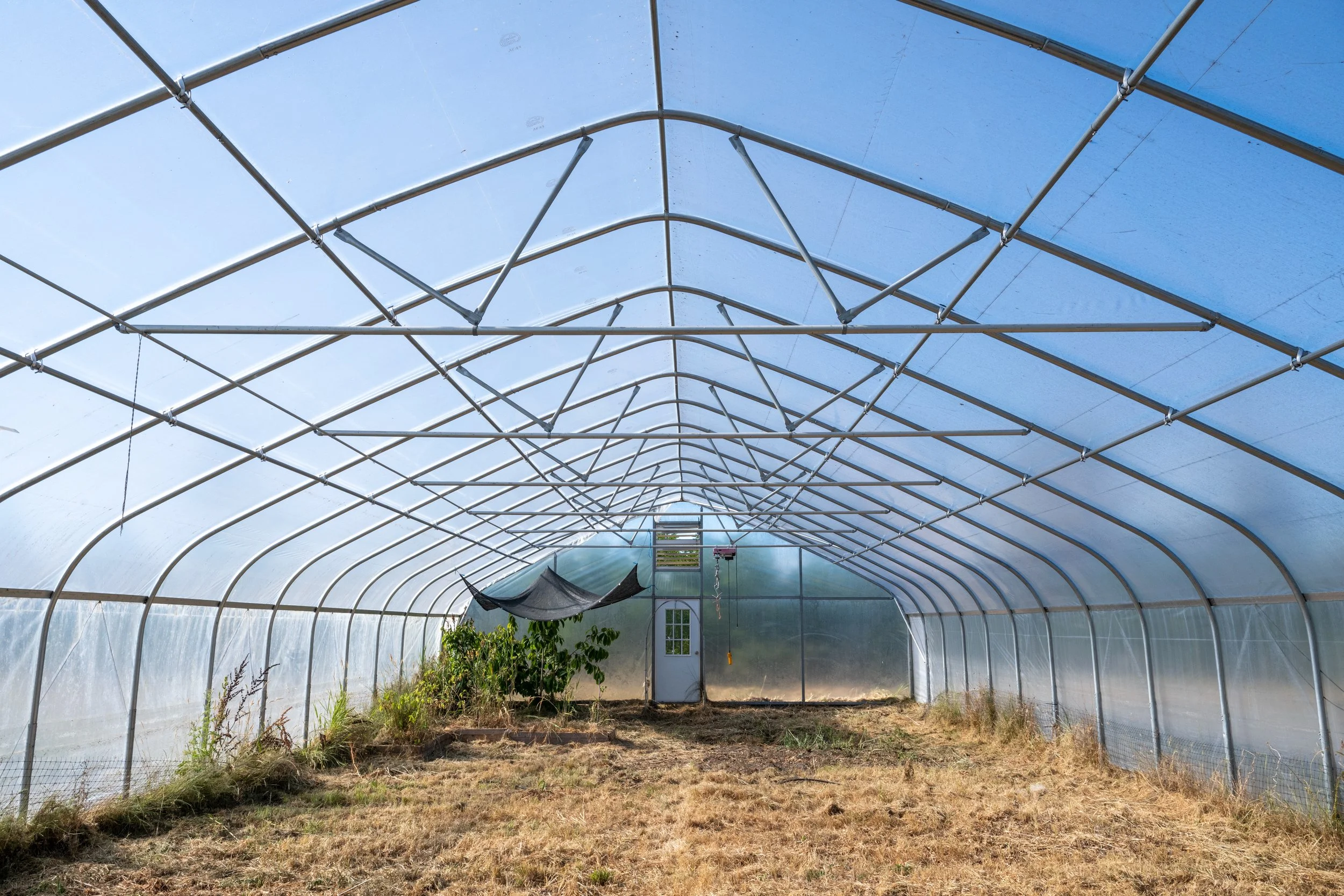 be-easy-farm-high-tunnel-interior-sequim-wa.jpg