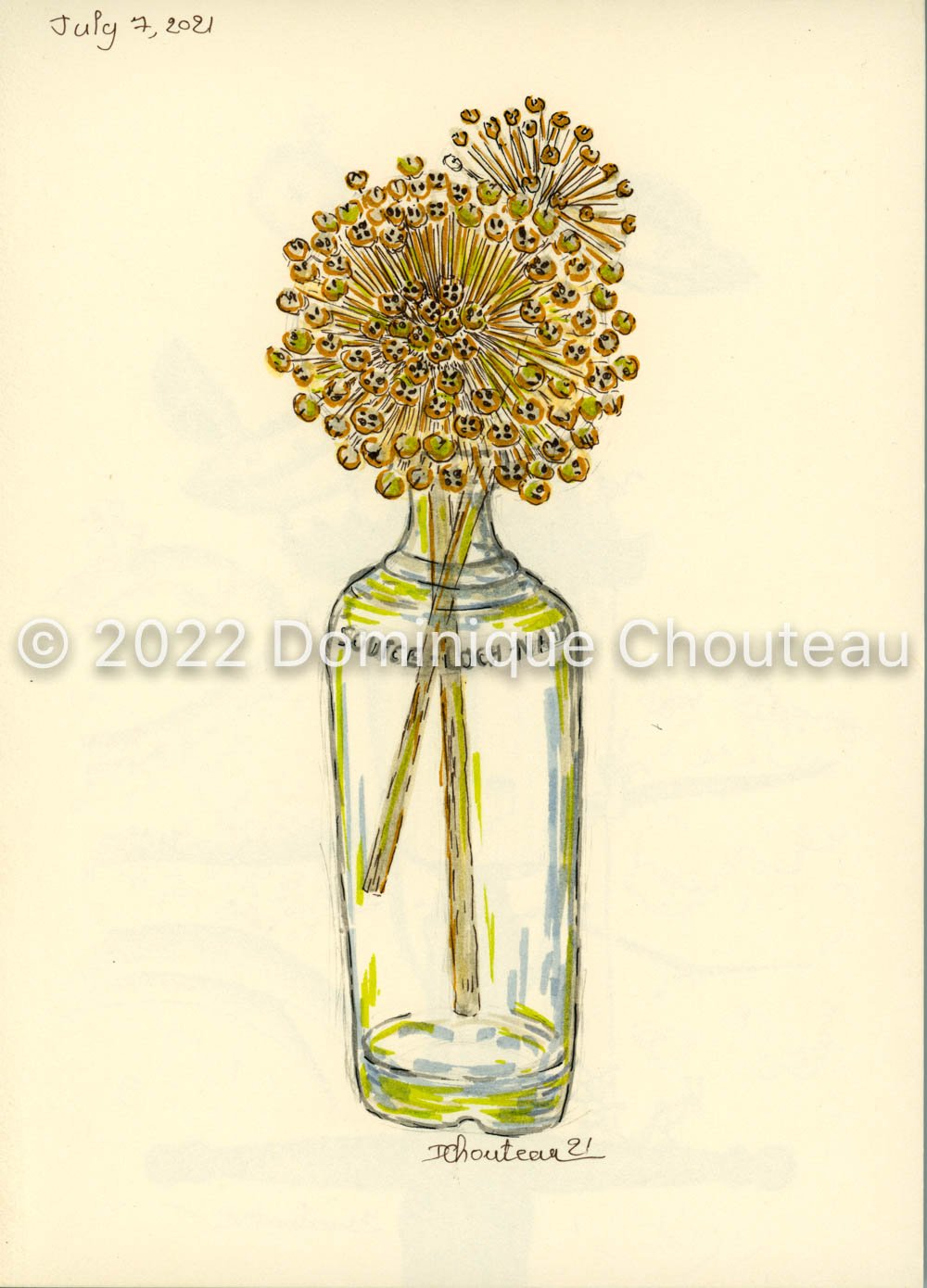 Dried flowers and whisky bottle (pencil), 2021