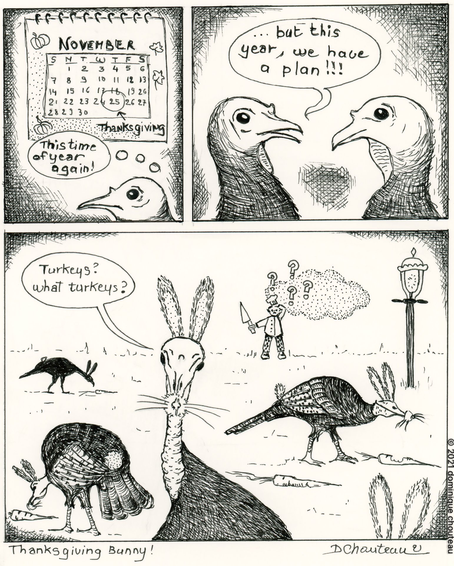 "Thanksgiving bunny", November 25, 2021 - Talking turkey....published in the Dorchester Reporter November 23, 2022!