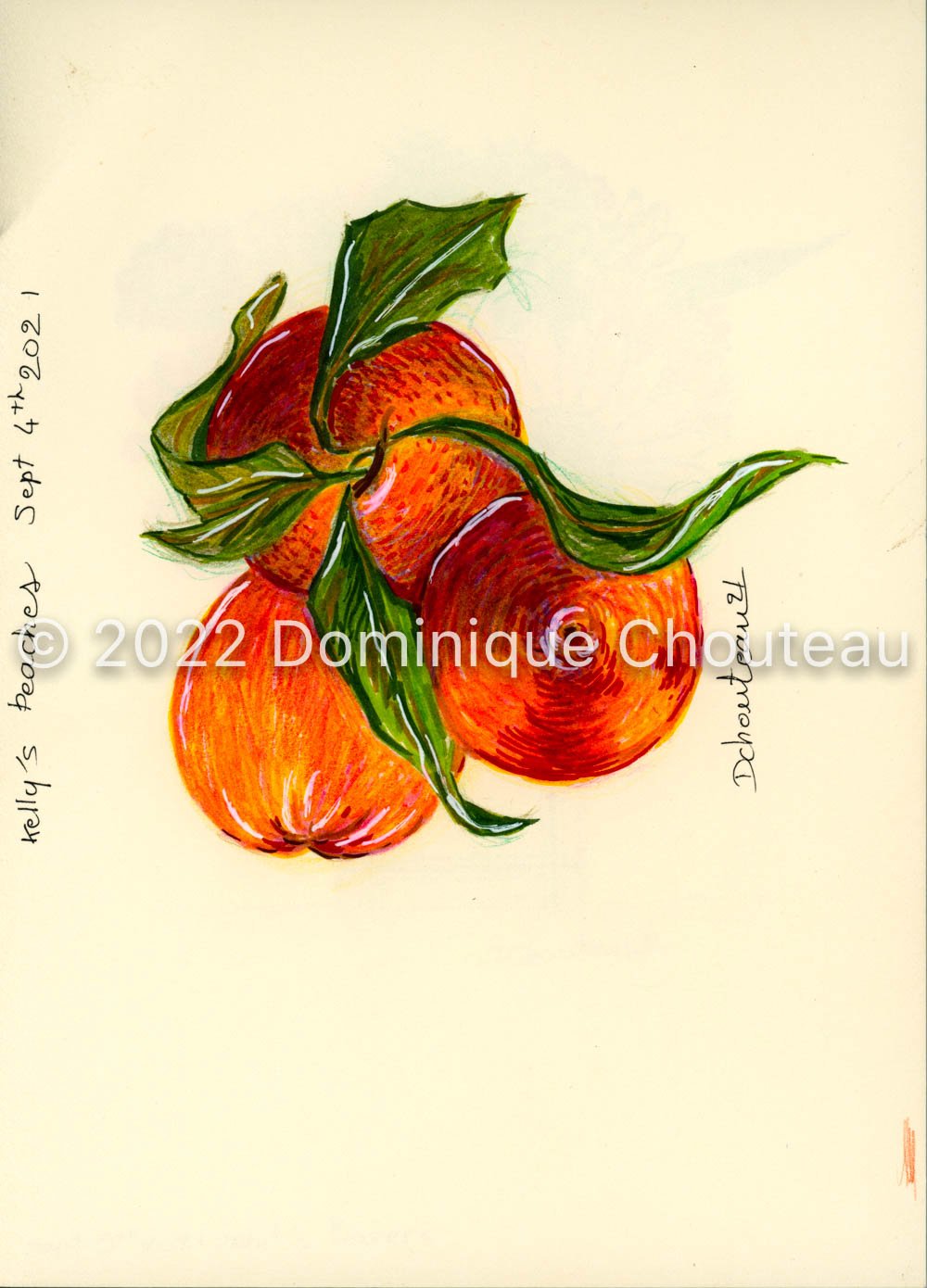 Kelly's peaches (color pencil), Sept 2021