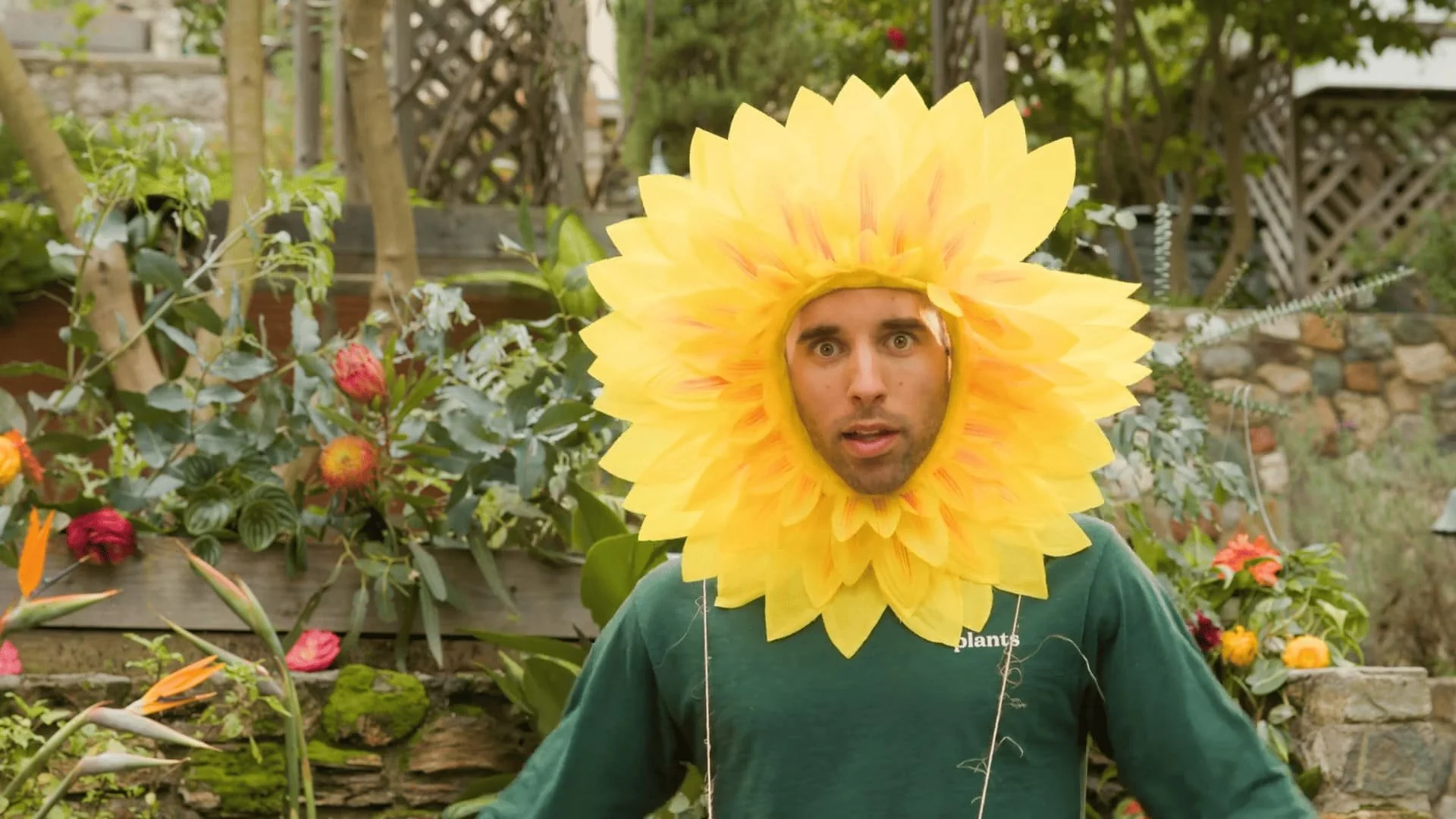 Farmer Nick dressed as the sunflower Plant in his series Farmer Nick and Plant.
