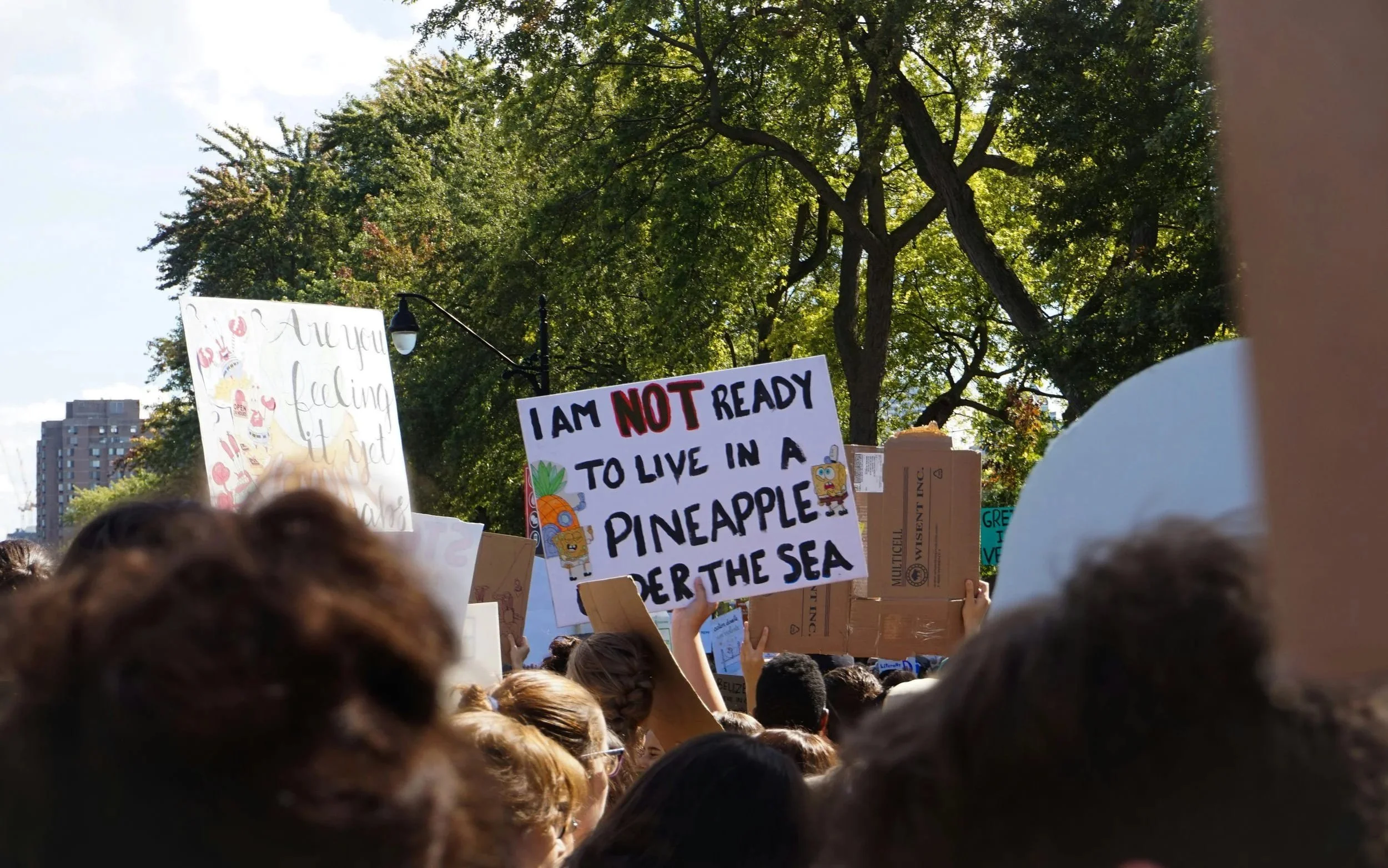 A crowd of people holding signs, including one that reads "I am not ready to live in a pineapple under the sea"