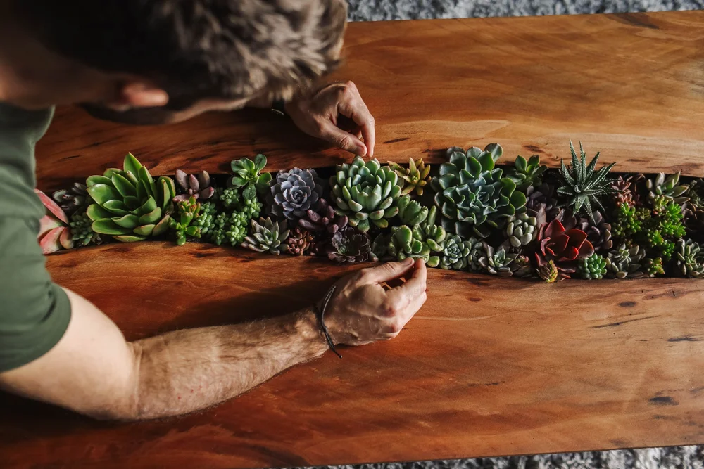 COFFEE TABLE PLANTER — Farmer Nick