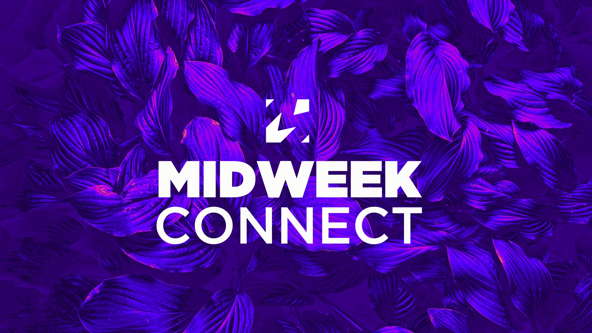 A group of people attending a classroom seminar or workshop with a presenter at the front, a large screen, and colorful posters on the wall.