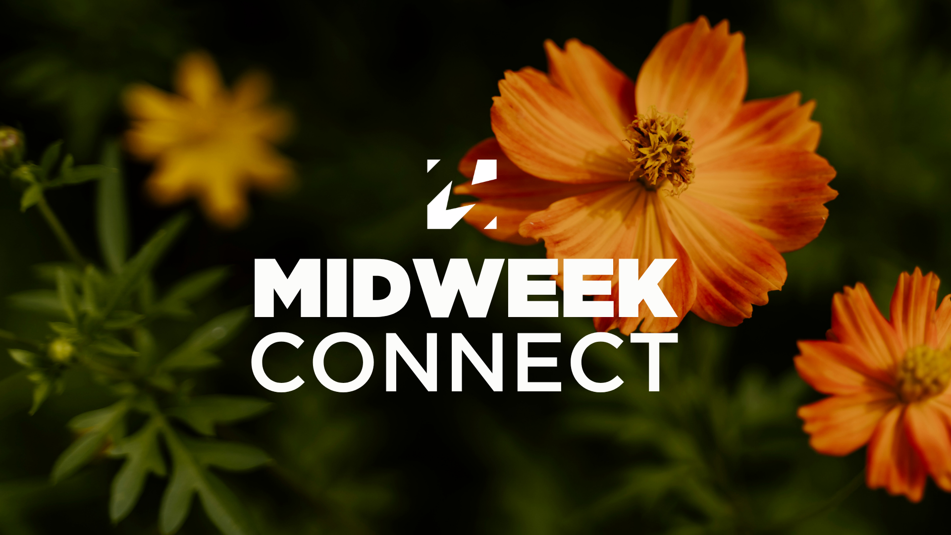 A group of people attending a classroom seminar or workshop with a presenter at the front, a large screen, and colorful posters on the wall.