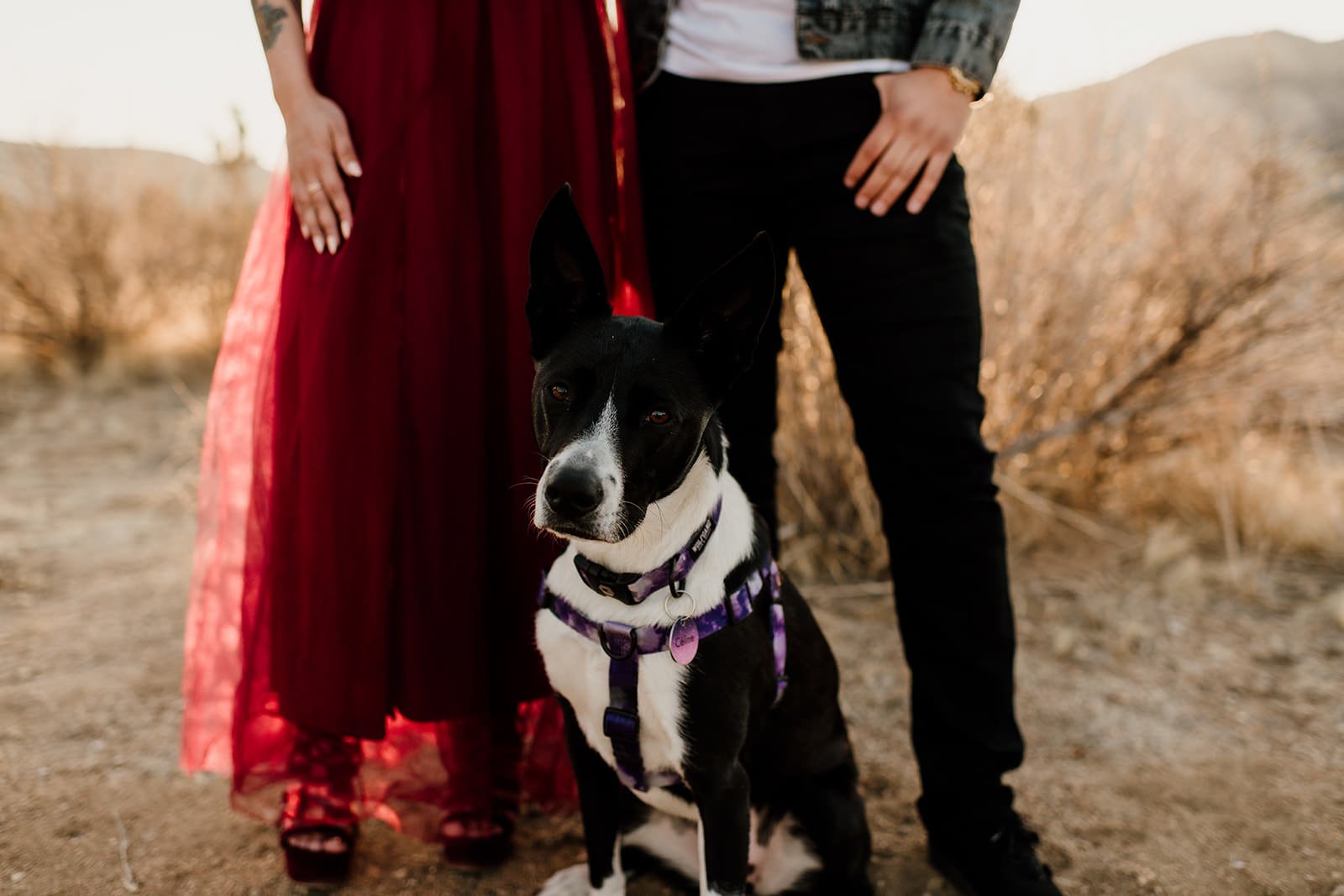 Joshua-Tree-Engagement-Session-Motorcycle-66_websize.jpg