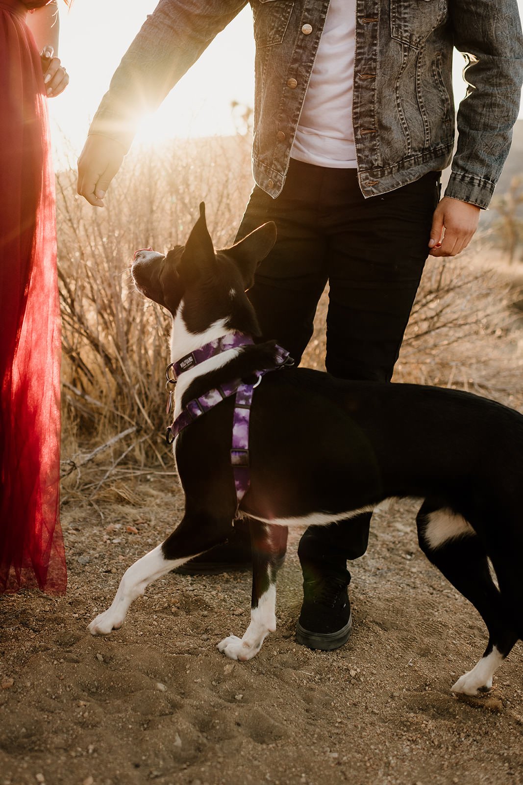 Joshua-Tree-Engagement-Session-Motorcycle-67_websize.jpg