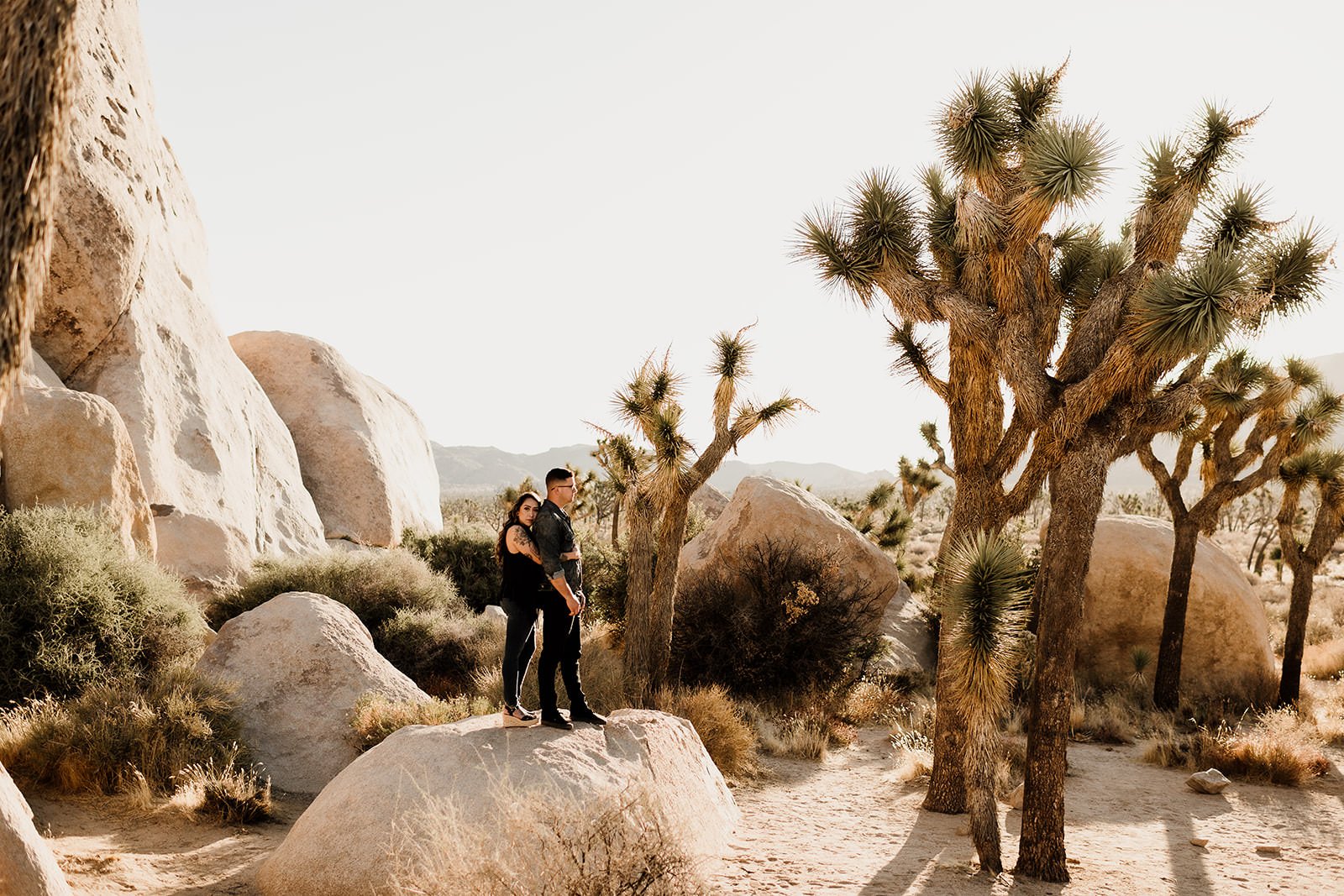 Joshua-Tree-Engagement-Session-Motorcycle-138_websize.jpg