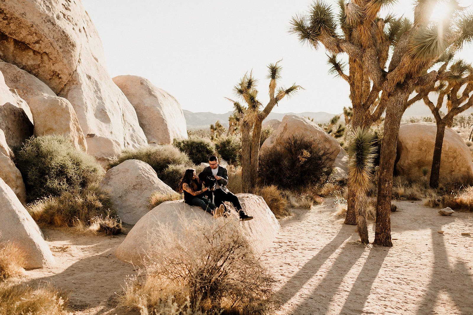 Joshua-Tree-Engagement-Session-Motorcycle-136_websize.jpg