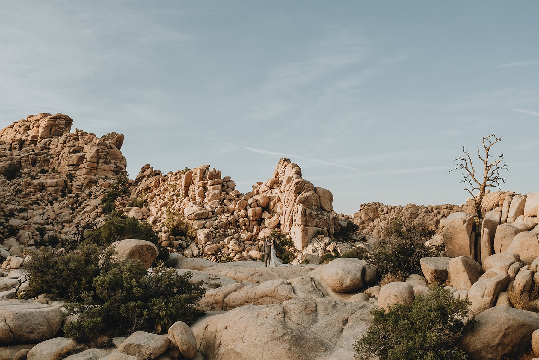 Joshua-Tree-Elopement-Photographer-SummitandSurPhotography-16.jpg