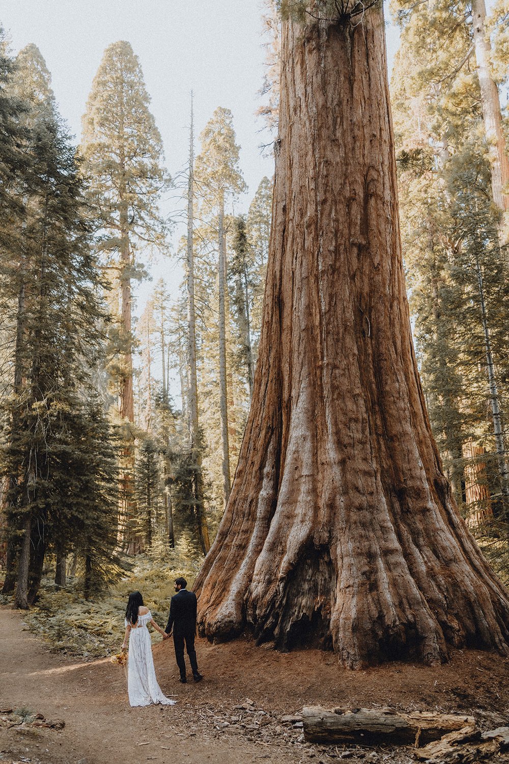 Sequoia-National-Park-Elopement-SummitandSurPhotography68.jpg