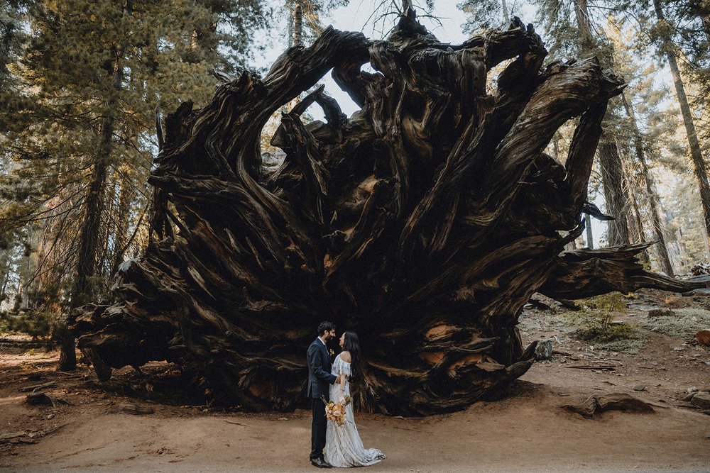 Sequoia-National-Park-Elopement-SummitandSurPhotography100.jpg